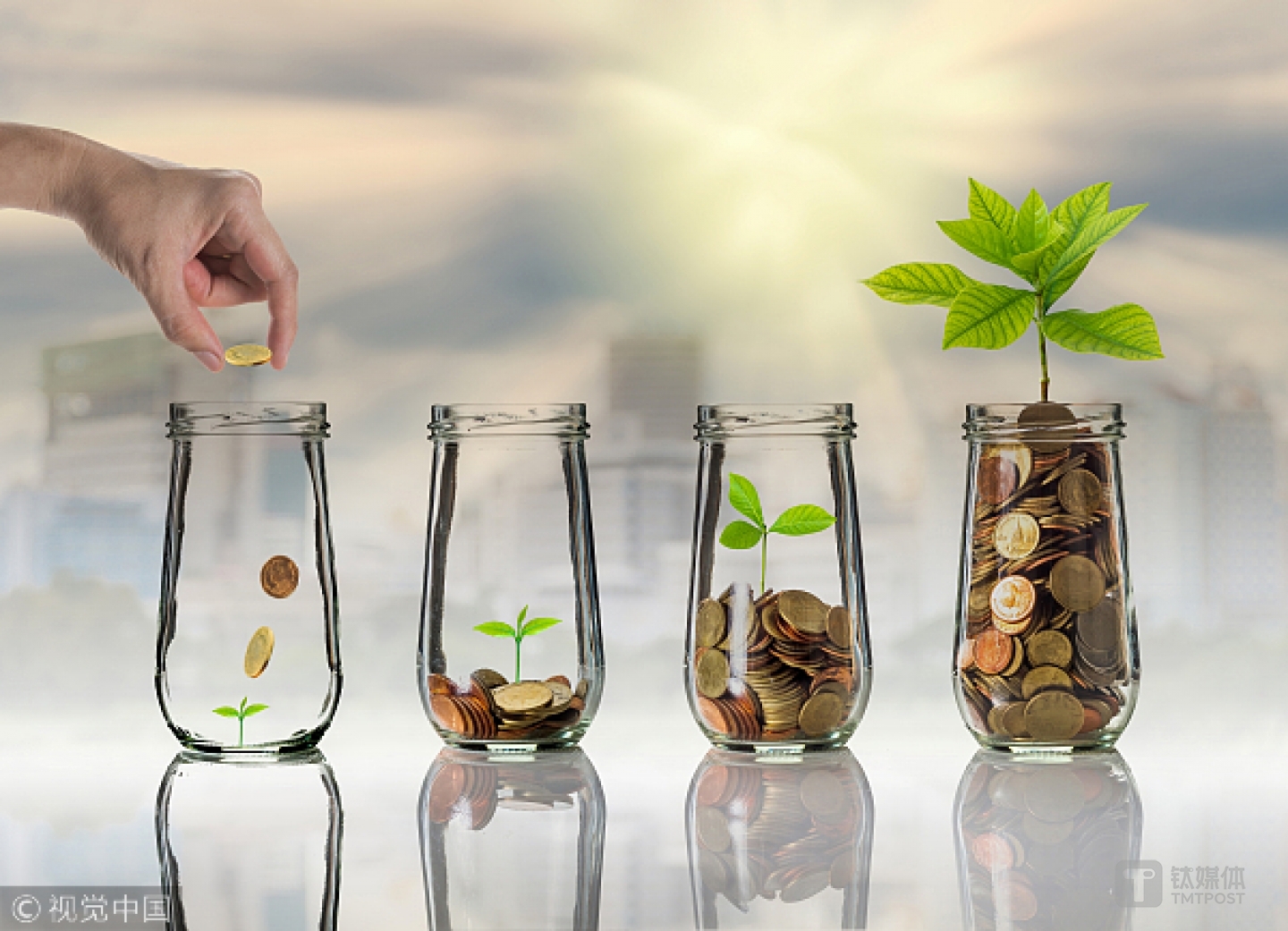 （题图来源：视觉中国）