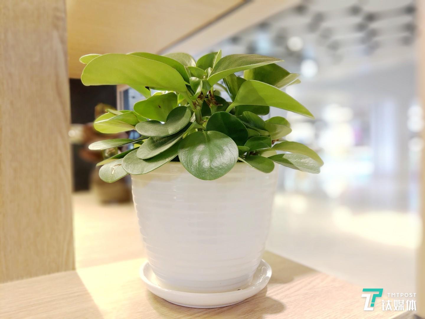 焦距:4.25mm 光圈:f/1.7 快门速度:1/s ISO: