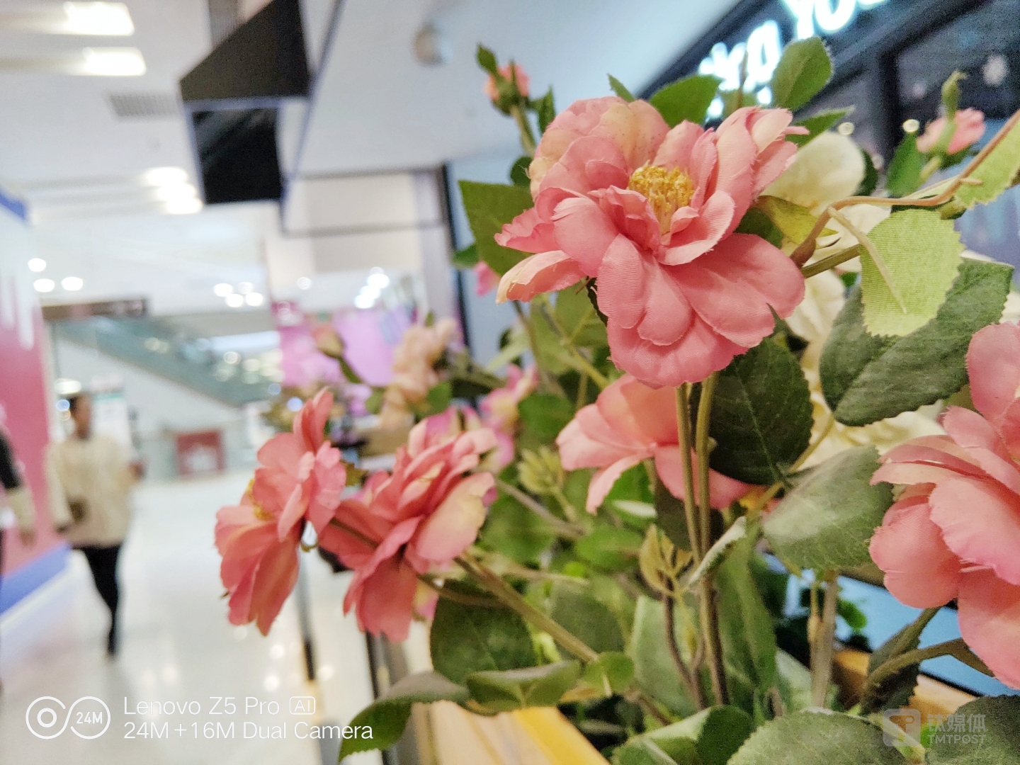 更多样张 焦距：4.28mm 光圈：f/1.8 快门速度：1/s ISO: