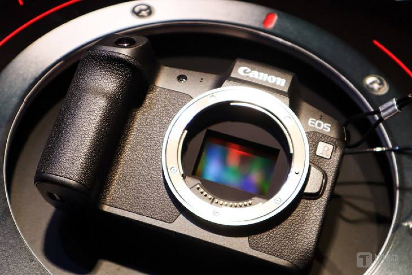 佳能专微采用最新EOS R系统