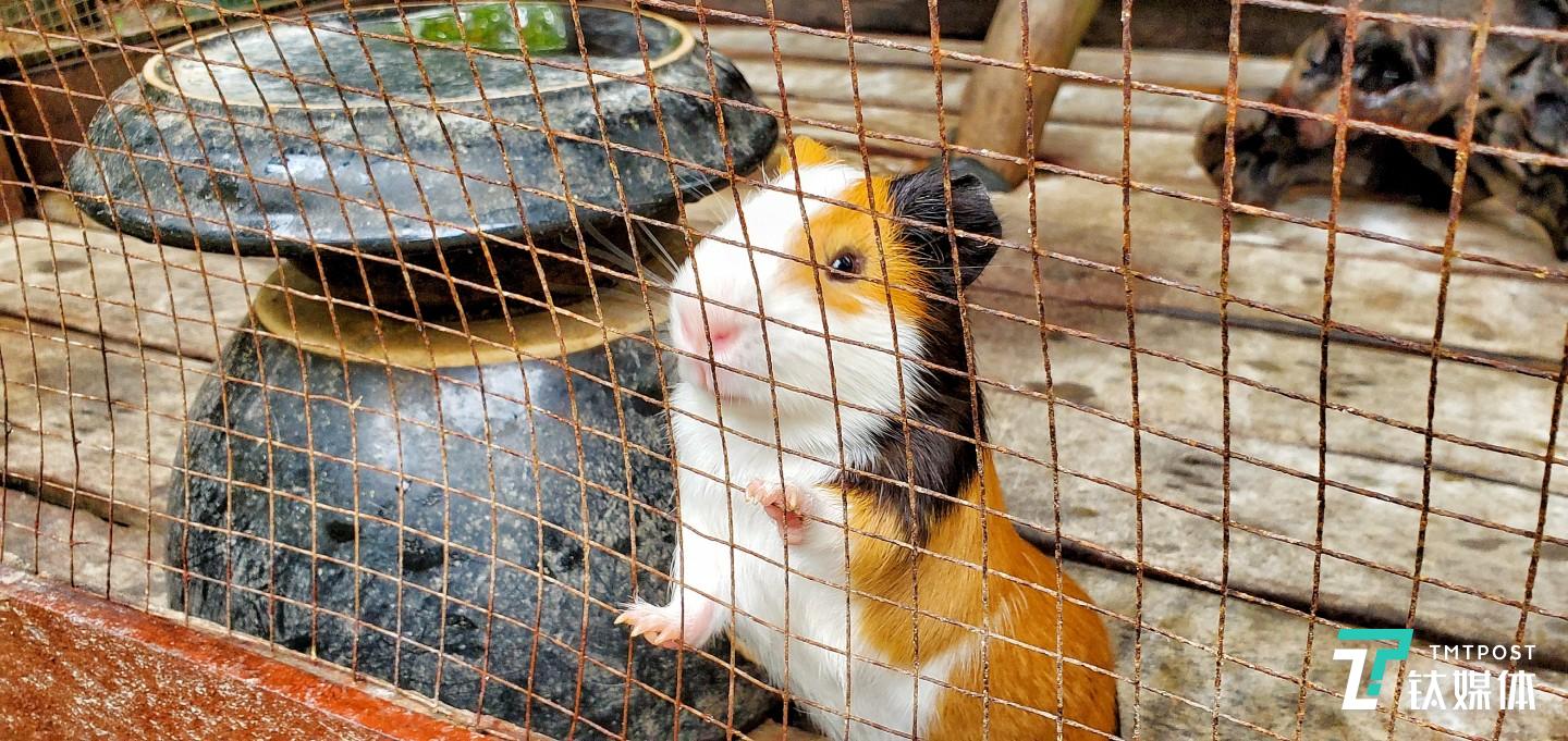 更多实拍样张  焦距：mm 光圈：f/ 快门速度：1/s ISO: