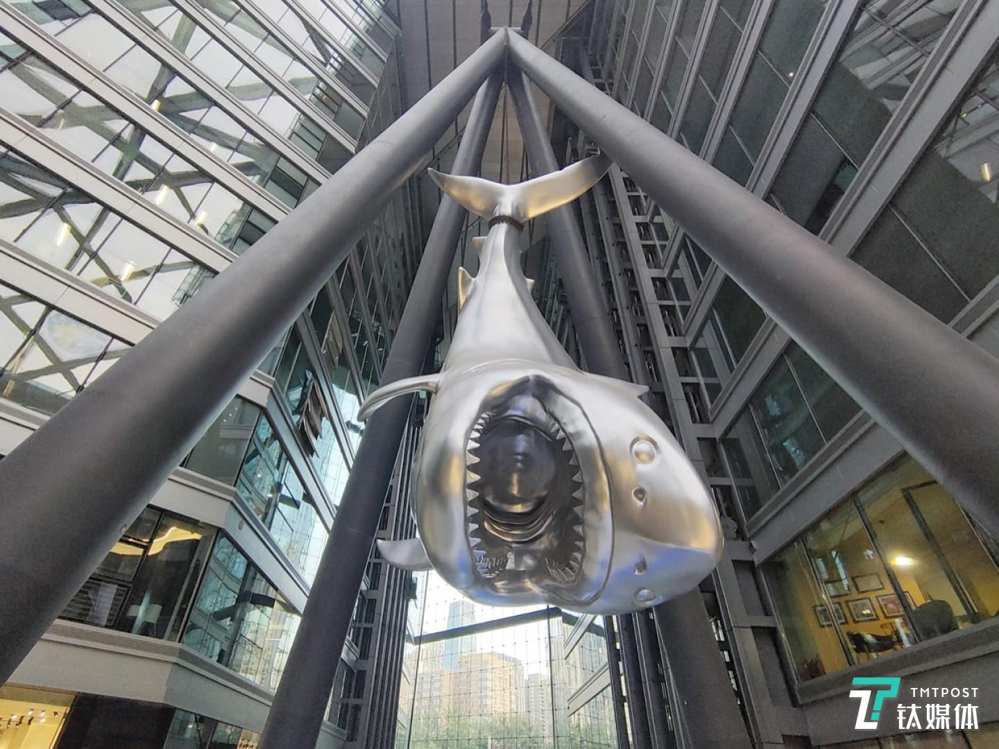 超广角拍摄效果