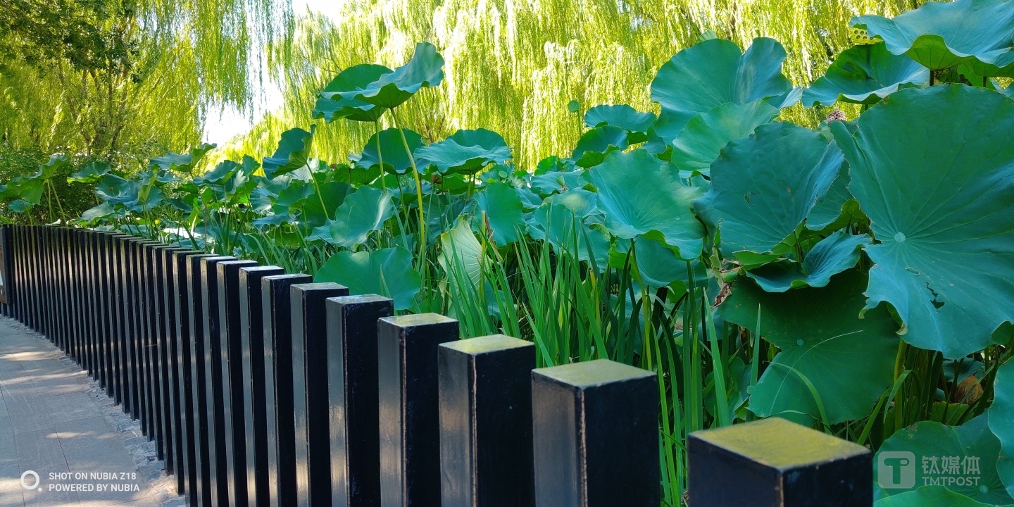 焦距：3.97mm 光圈：f/1.6 快门速度：1/100s ISO：100