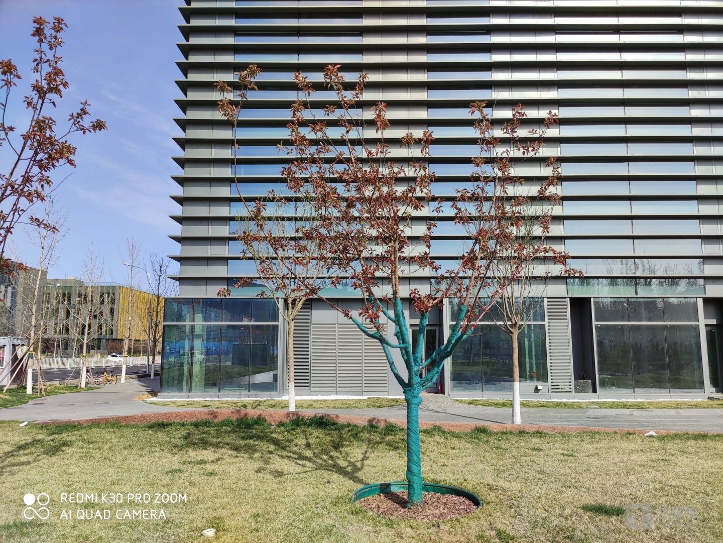 更多样张 焦距：5.58mm 光圈：f/1.6 快门：1/600 ISO：50