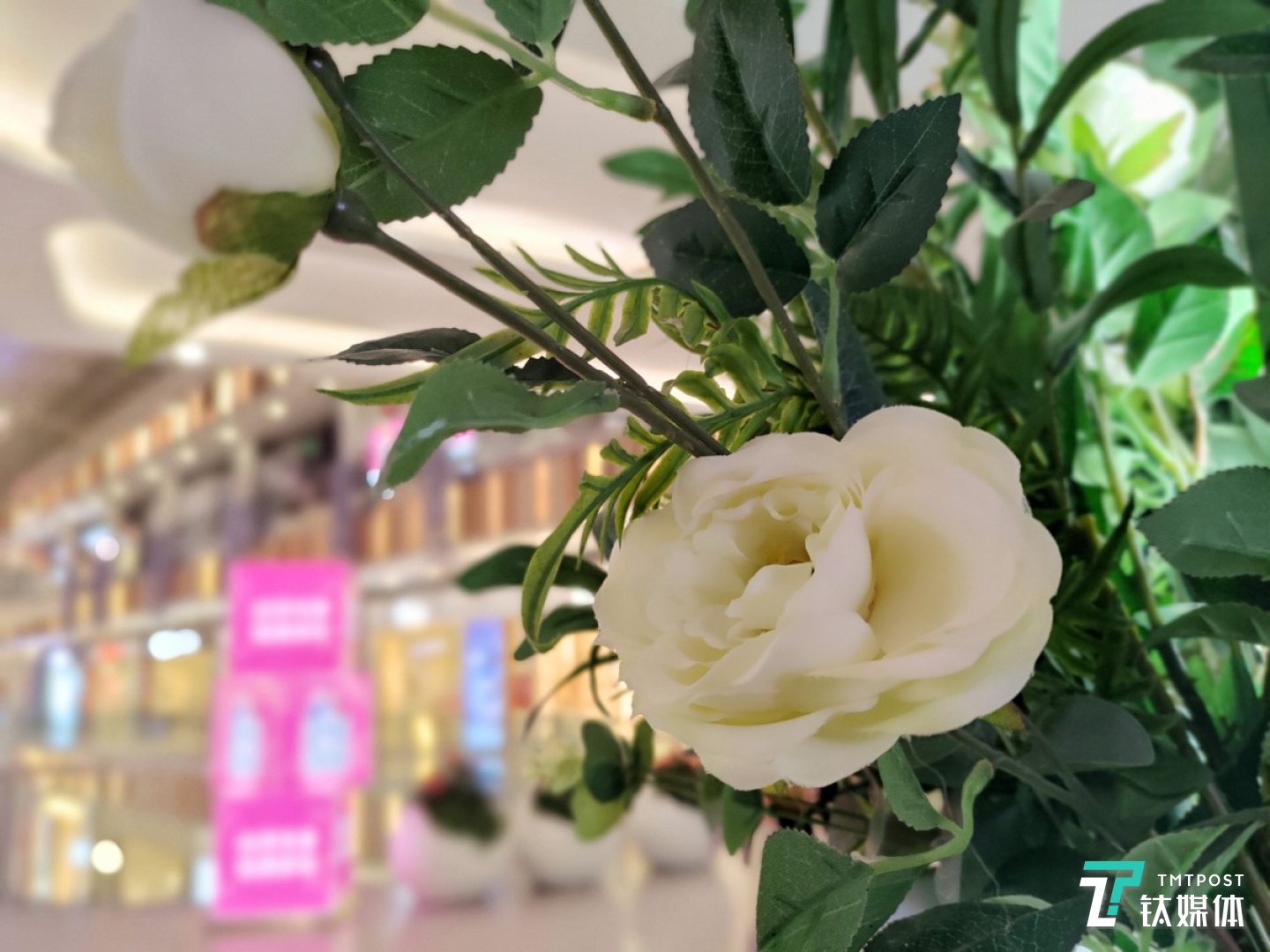 大光圈虚化效果