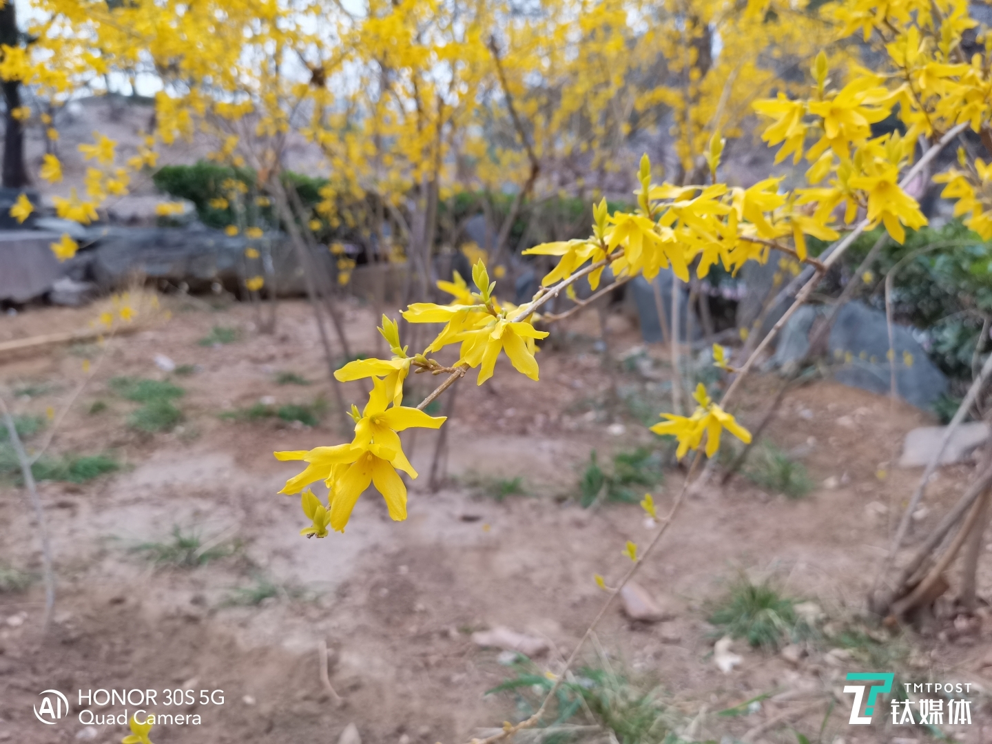 主摄&ldquo;微距&rdquo;样张