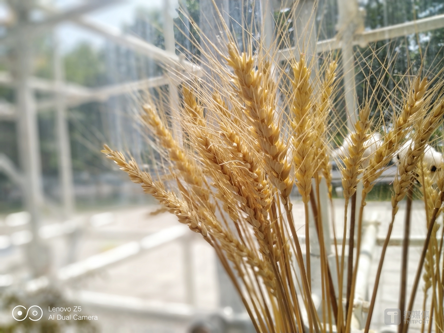 更多样张 焦距：4.0mm 光圈：f/2.0 快门速度：1/750s ISO:100