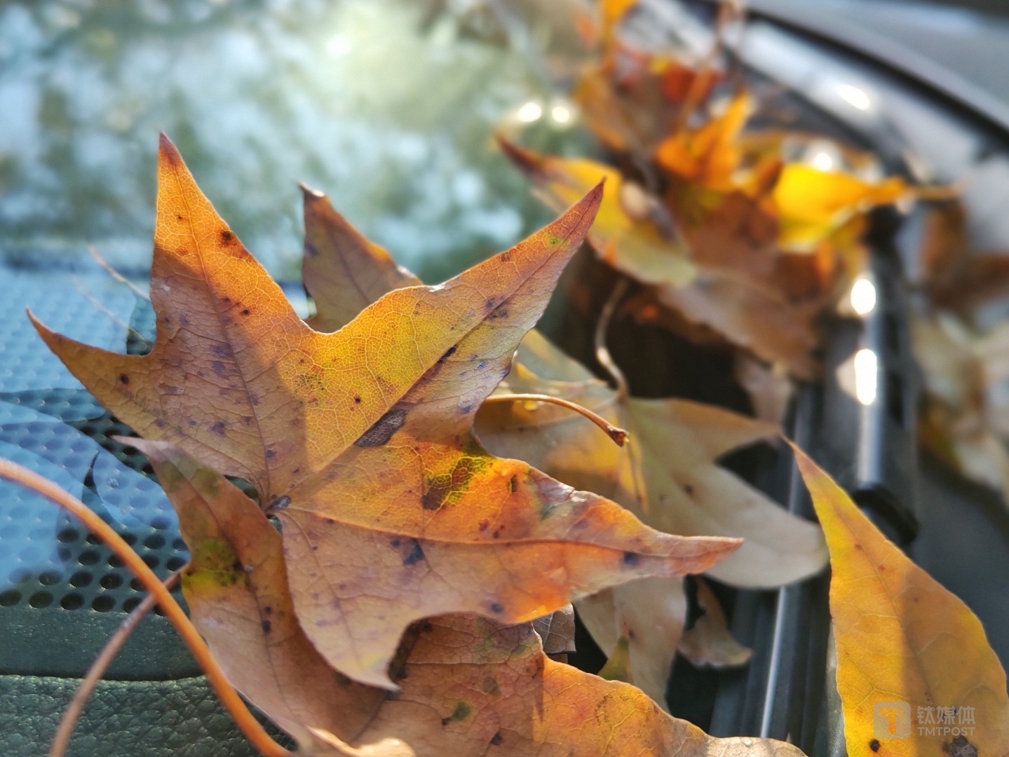 更多样张 焦距：4.28mm 光圈：f/1.8 快门速度：1/s ISO: