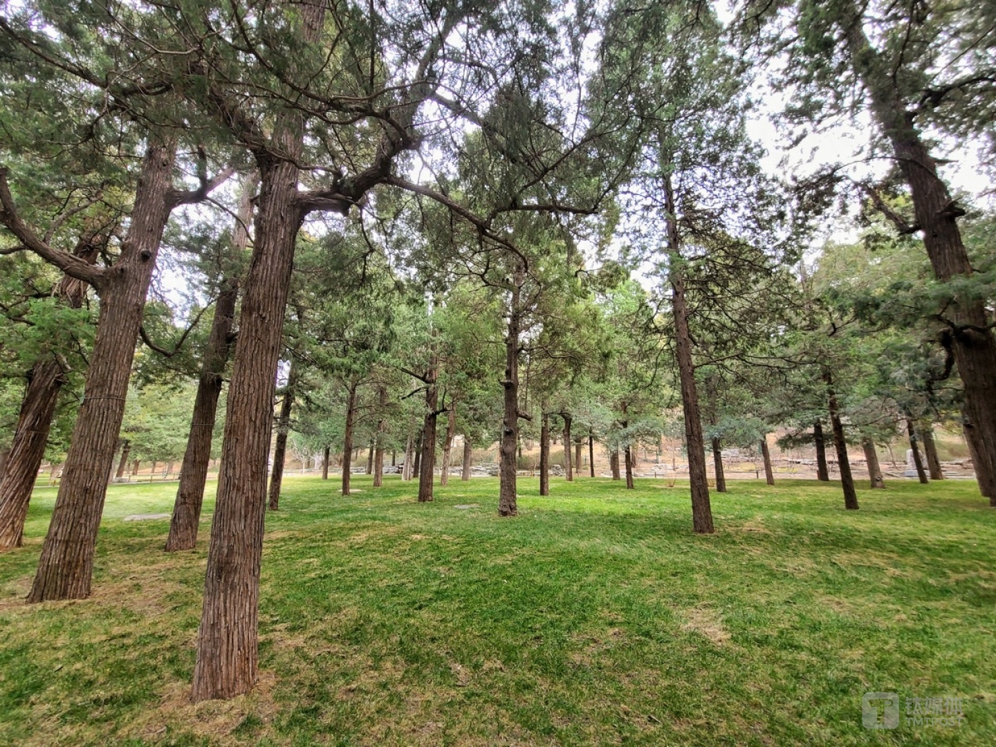 更多实拍样张 焦距：mm 光圈：f/ 快门速度：1/s ISO: