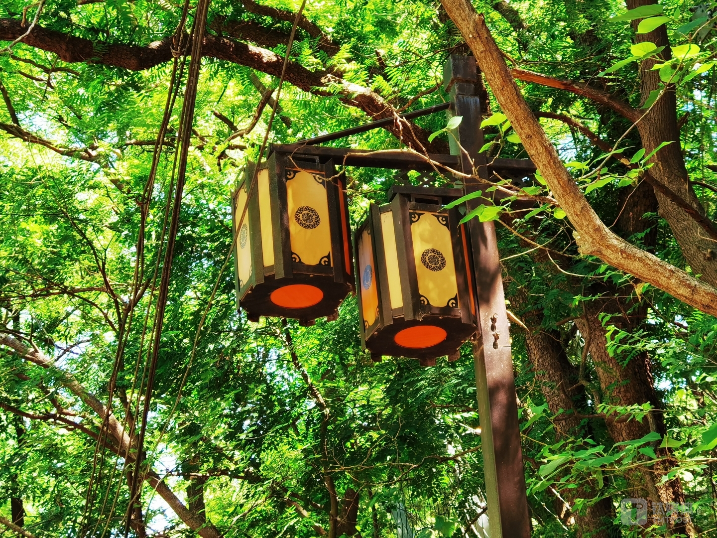 10倍光学变焦，直接可以拍摄远处的路灯