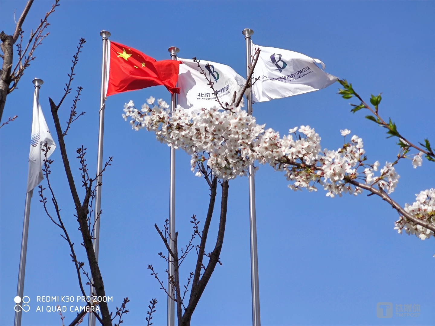 更多样张 焦距：7.48mm 光圈：f/2.4 快门：1/1250 ISO：50