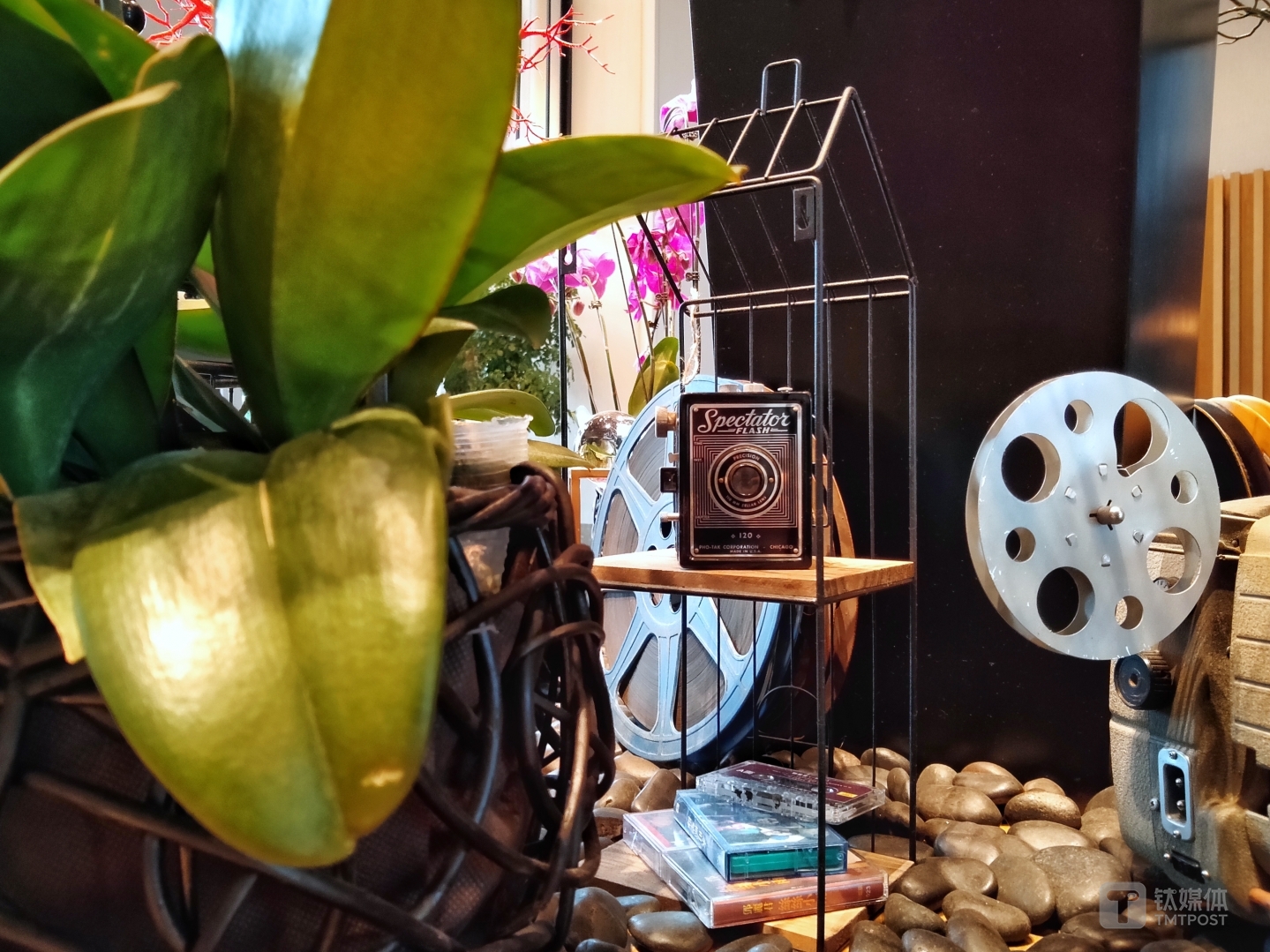 更多样片焦距：3.56mm 光圈：f/1.8 快门速度：1/s ISO: