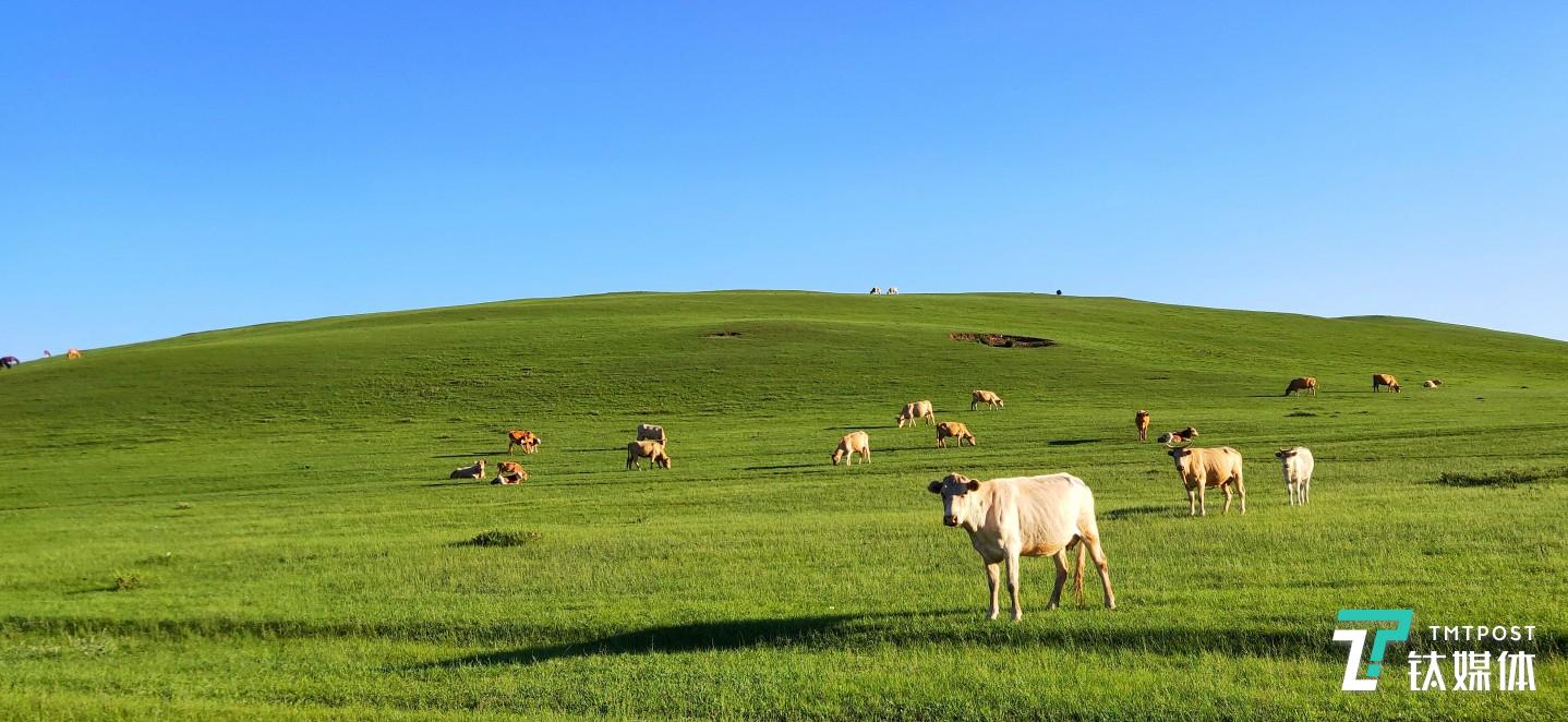 更多样片 焦距：mm 光圈：f/ 快门速度：1/s ISO: