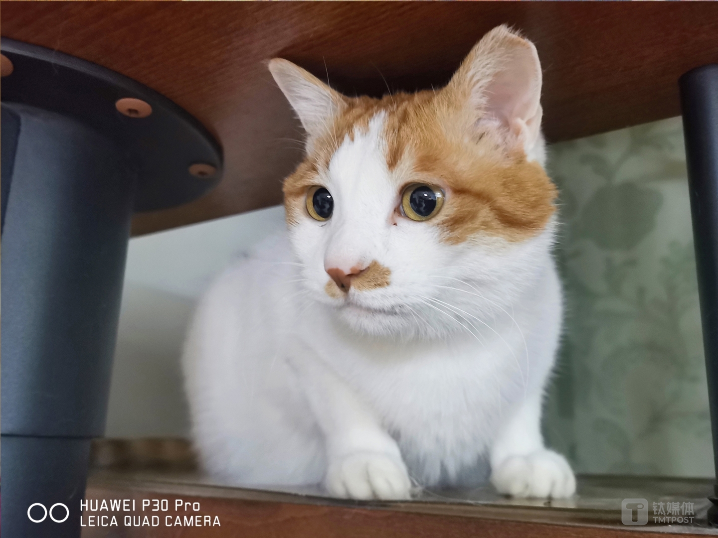 更多样张  焦距：mm（等效35mm焦距） 光圈：f/ 快门速度：1/s ISO: