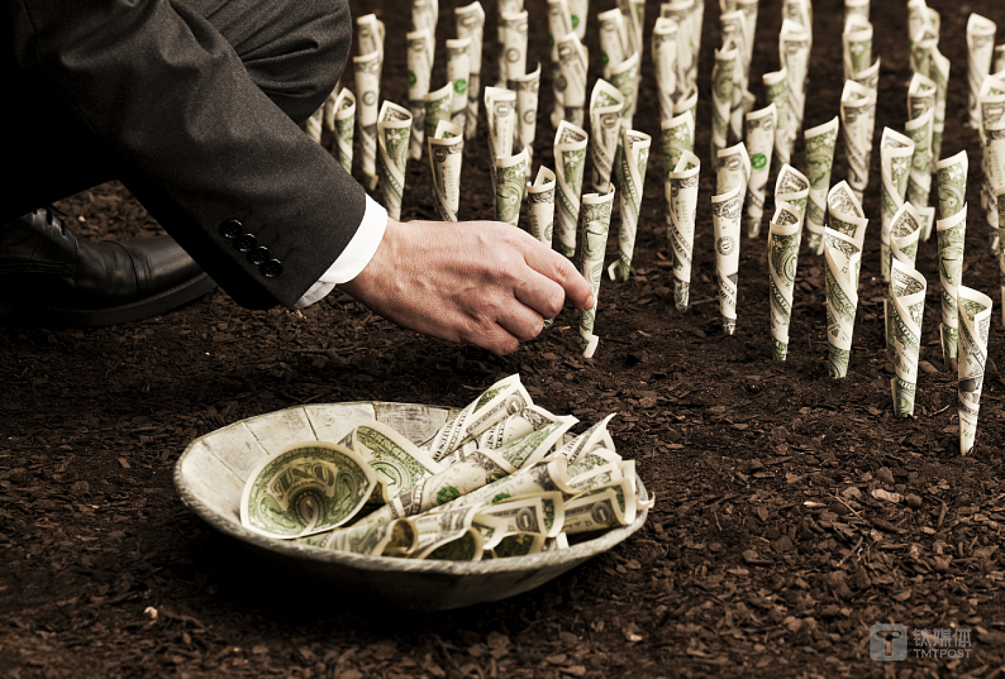 题图来自：视觉中国