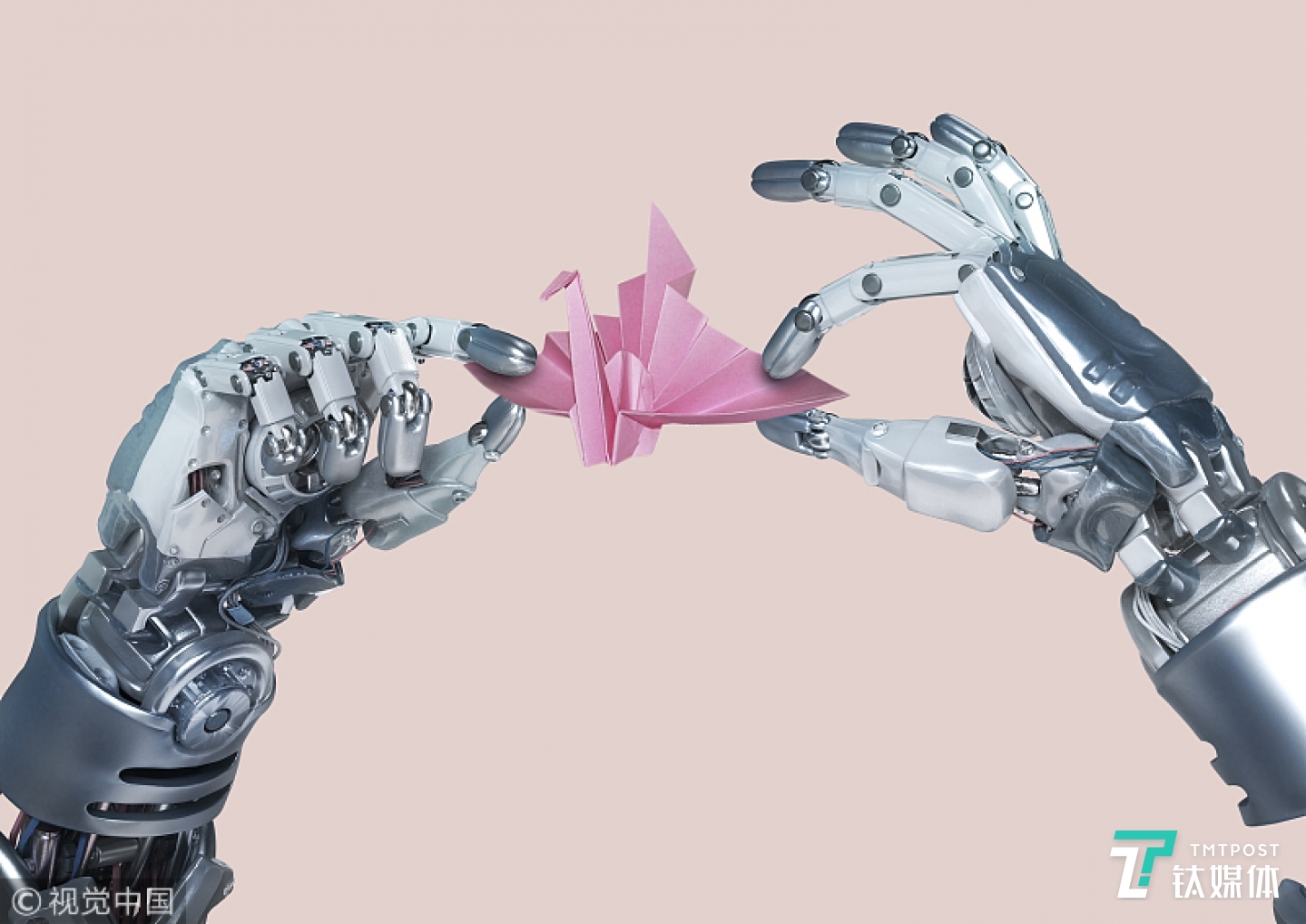 本文来自专栏「800字，读懂一家 AI 公司」