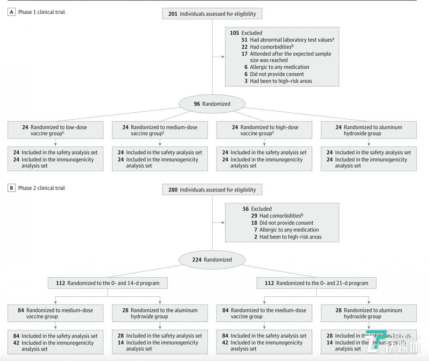 新冠灭活疫苗的筛选,随机和纳入参与的流程图(来源:论文)