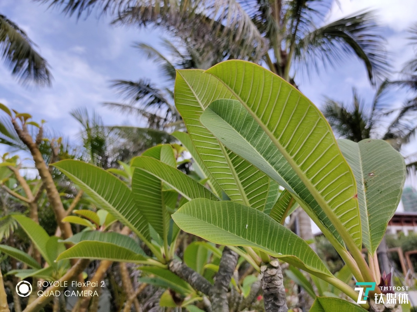更多实拍样张 焦距:3.3mm 光圈:f/2.2 快门速度:1/33s ISO:1250