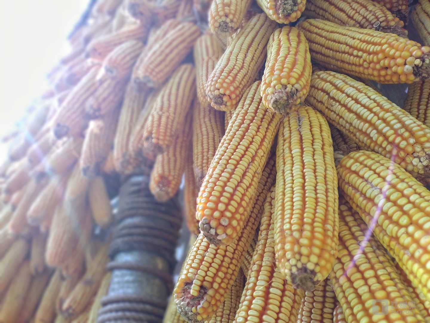 焦距：3.6mm 光圈：f/1.8 快门速度：1/s ISO: