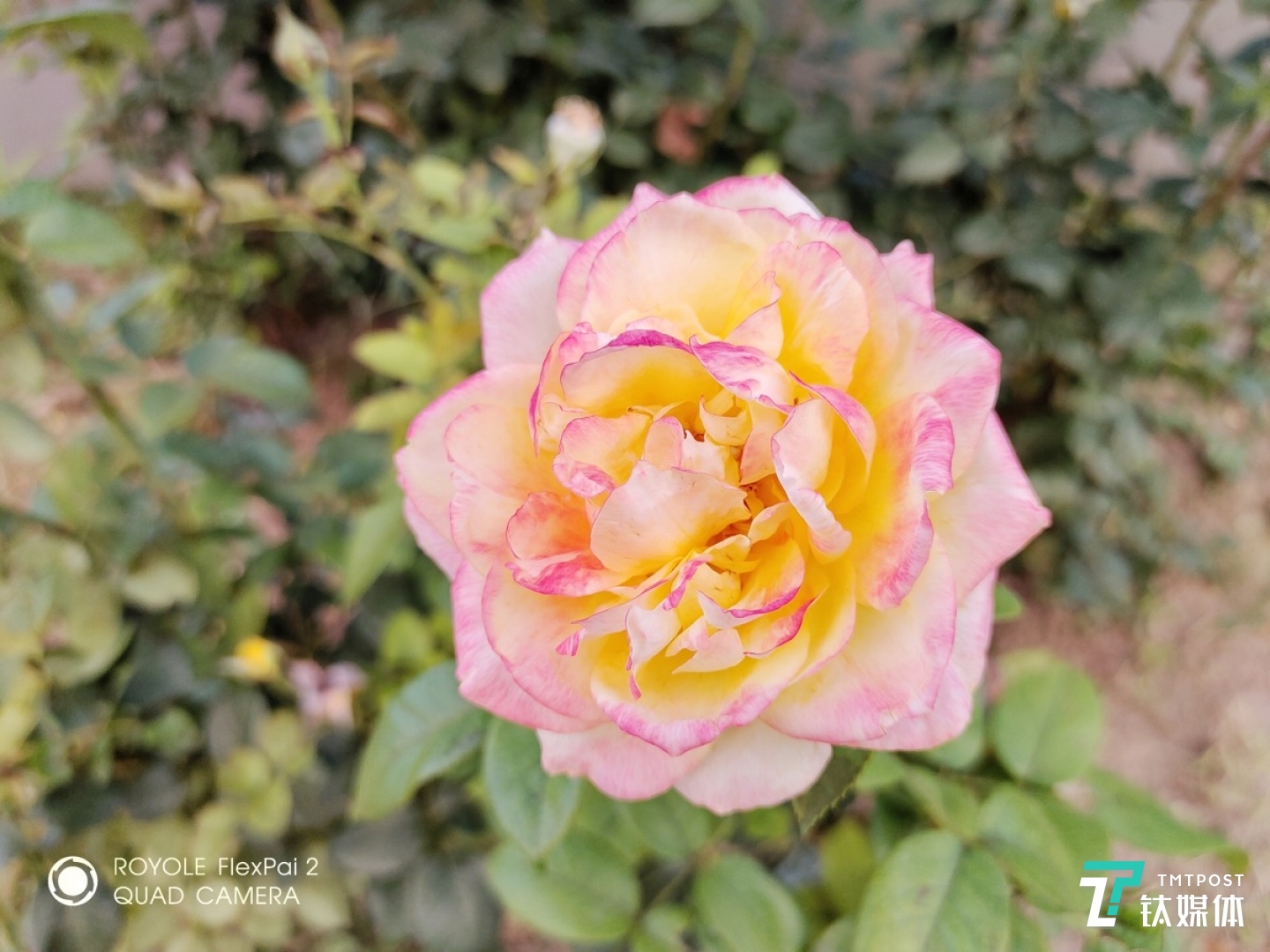 更多实拍样张 焦距:3.3mm 光圈:f/2.2 快门速度:1/33s ISO:1250