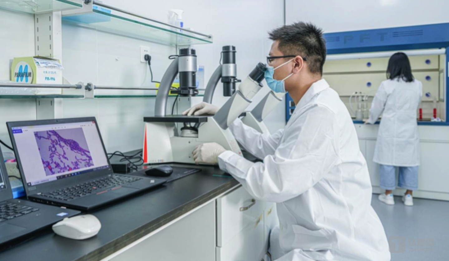 实验人员正在观察电子雾化器气溶胶对细胞组织的影响