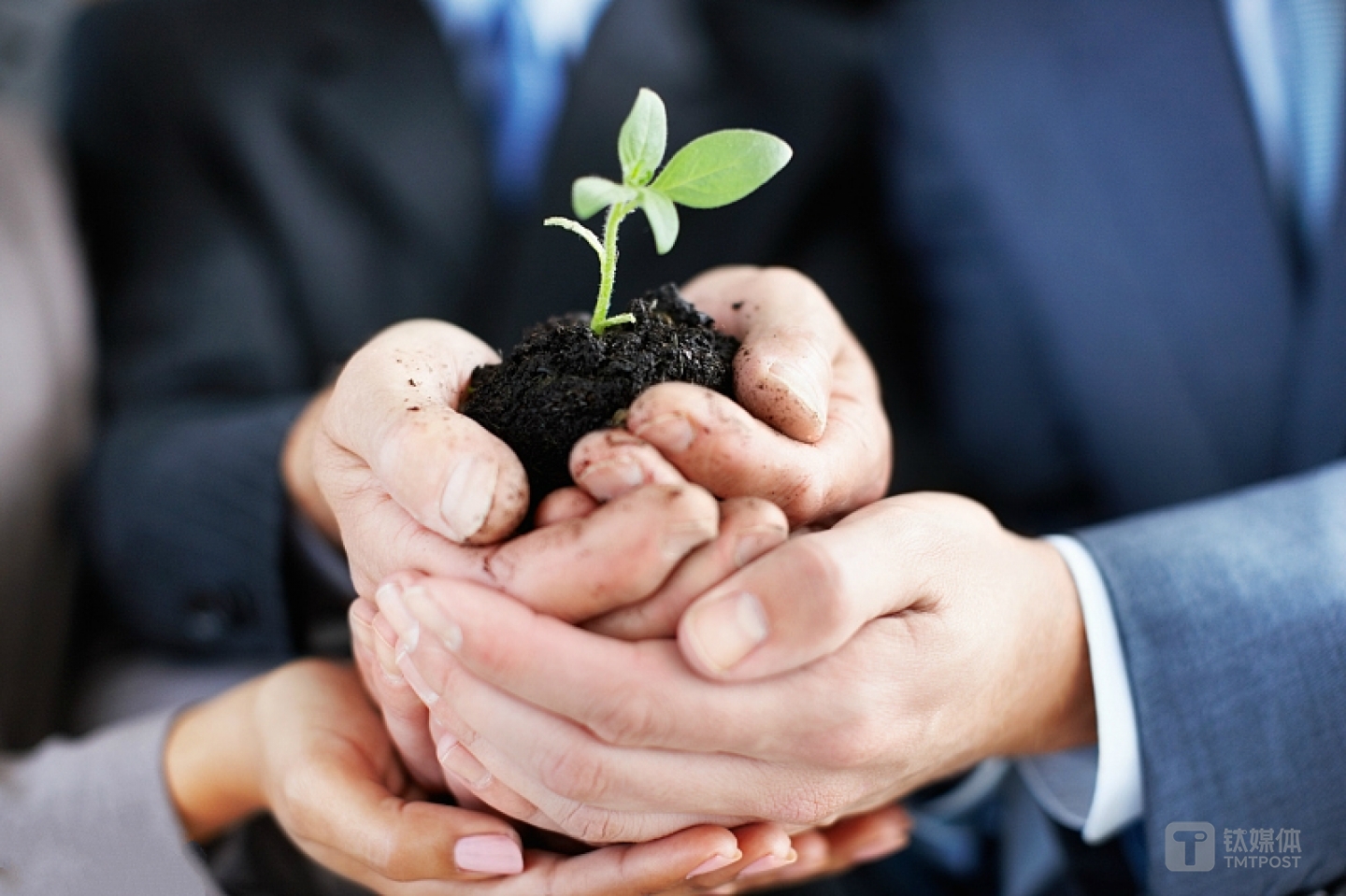 图片来源：视觉中国