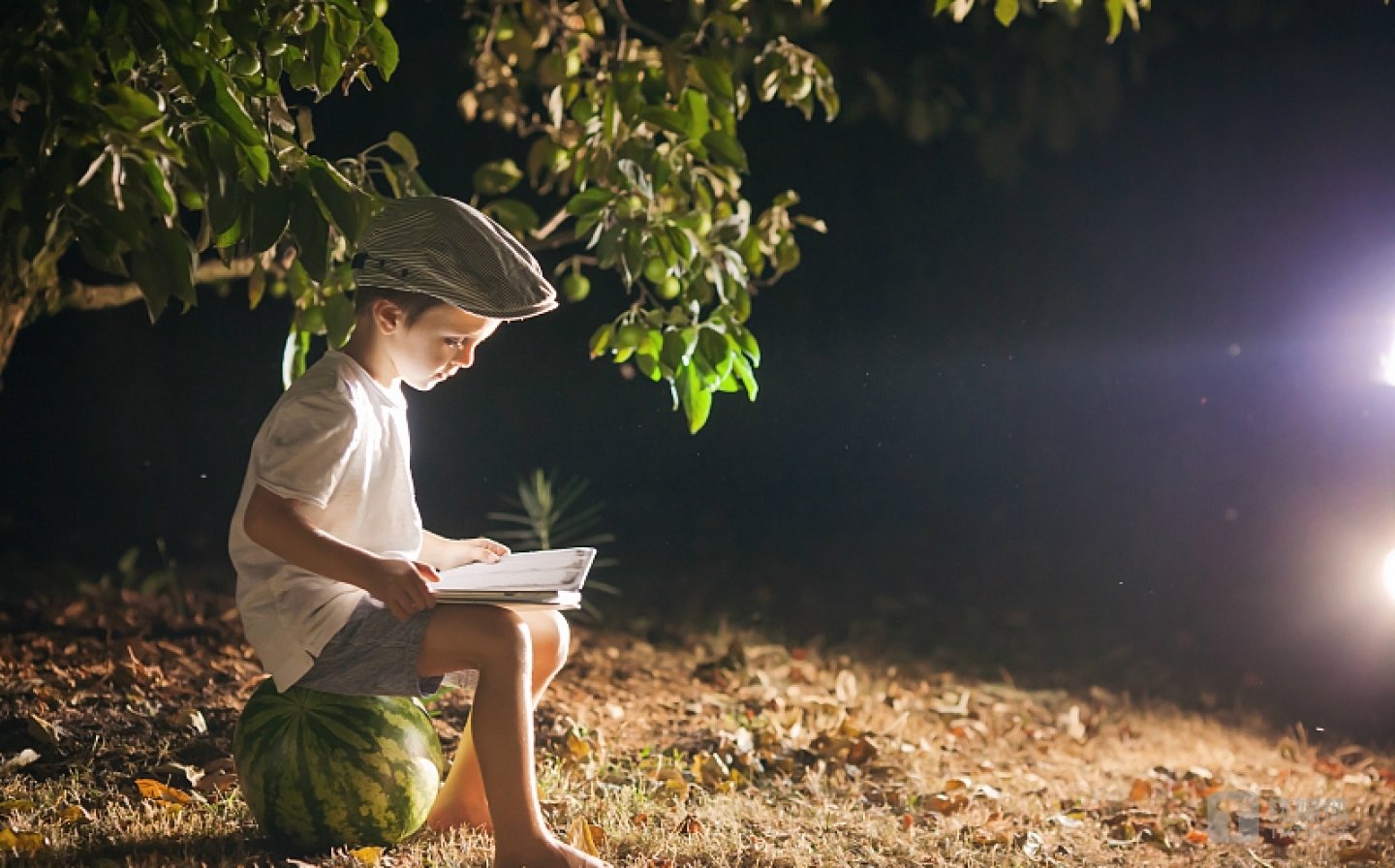 图片来源:视觉中国