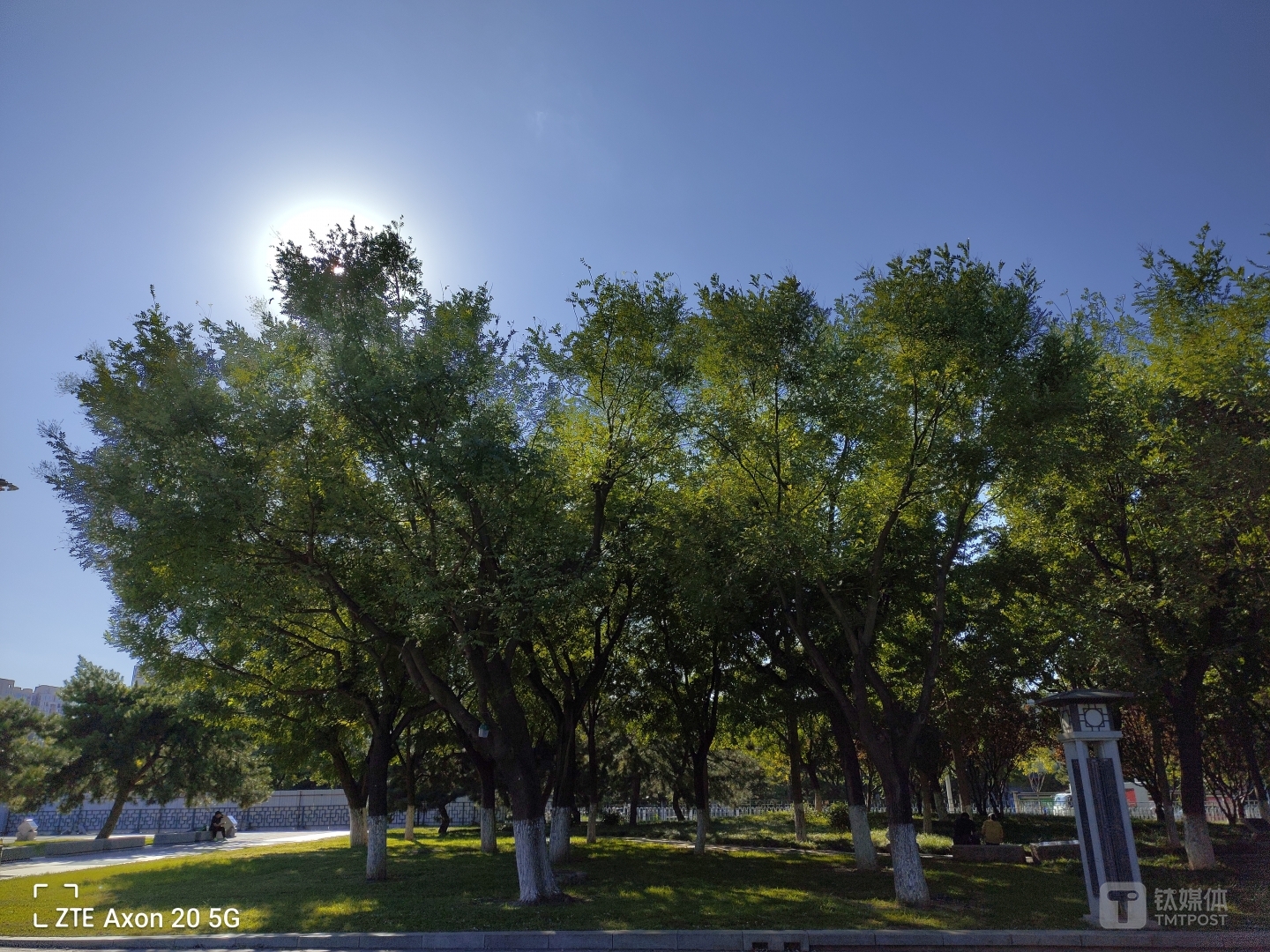 Axon 20 5G-逆光样张