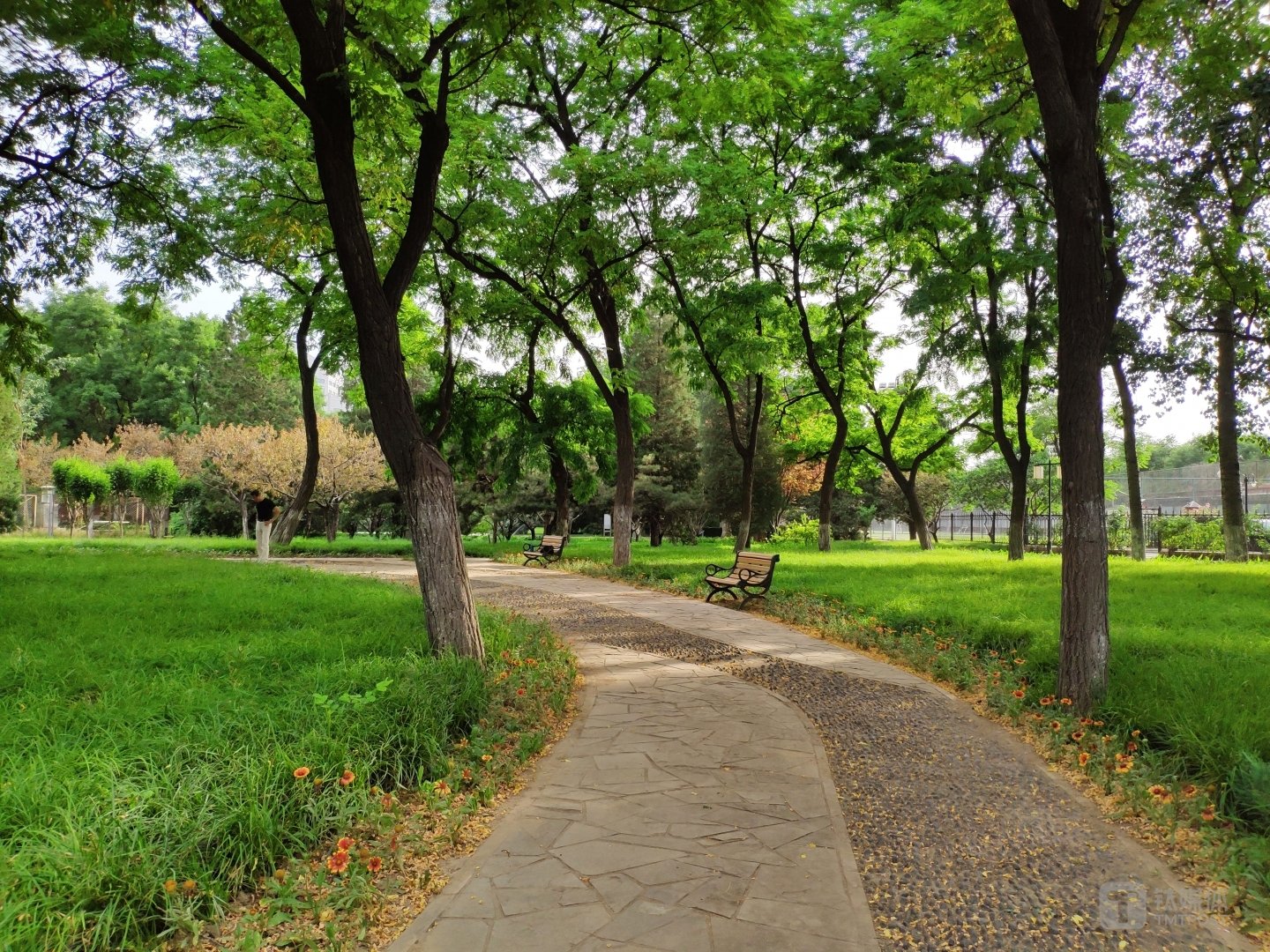 焦距:4.216mm,光圈:f1.8,快门速度:1/1,067