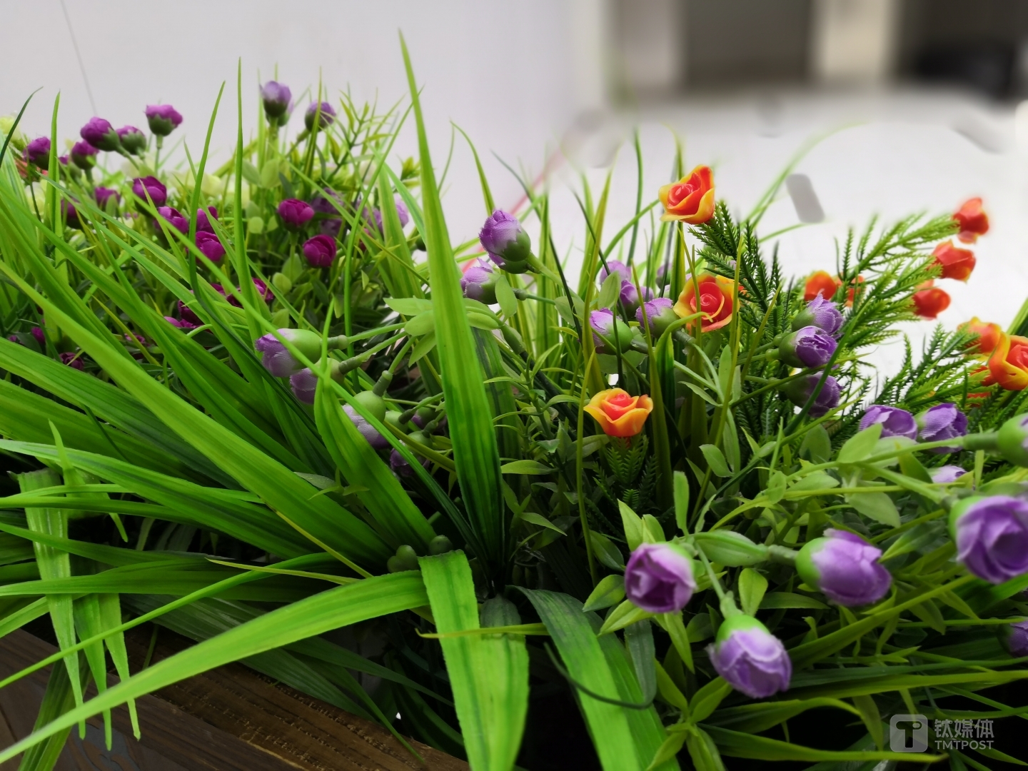 荣耀Play花草样张：焦距：27mm 光圈：f/0.95 快门速度：1／100 s ISO:80