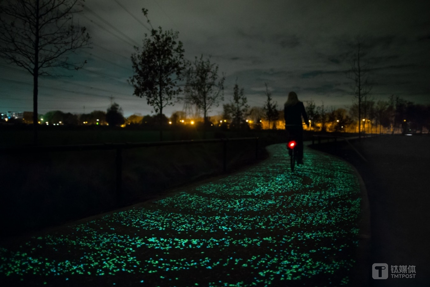 的。图片来源/罗斯加德工作室