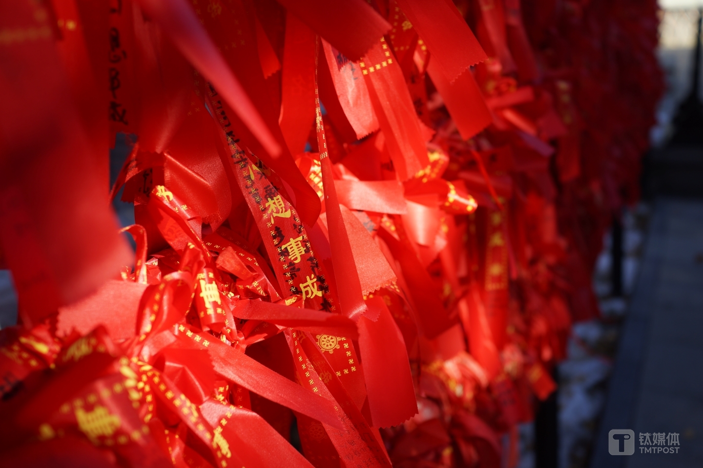 尼康Z7实拍，背景虚化很不错