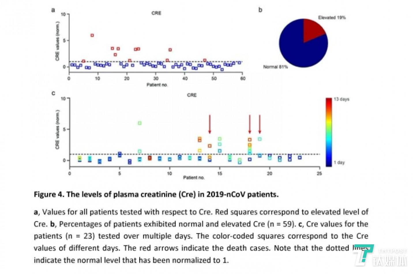 新冠肺炎患者的血浆肌酐(Cre)水平