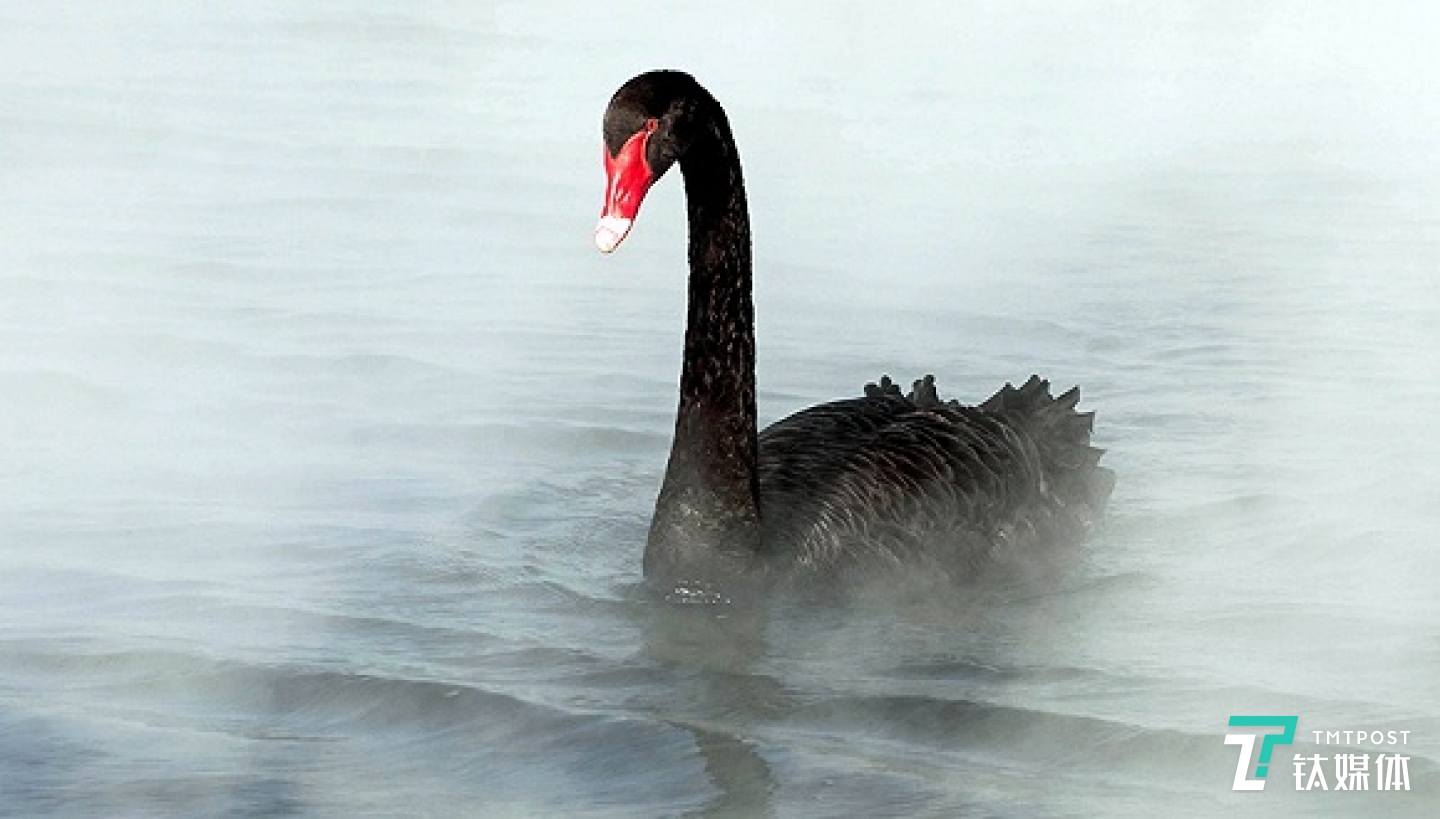 图片来源：视觉中国