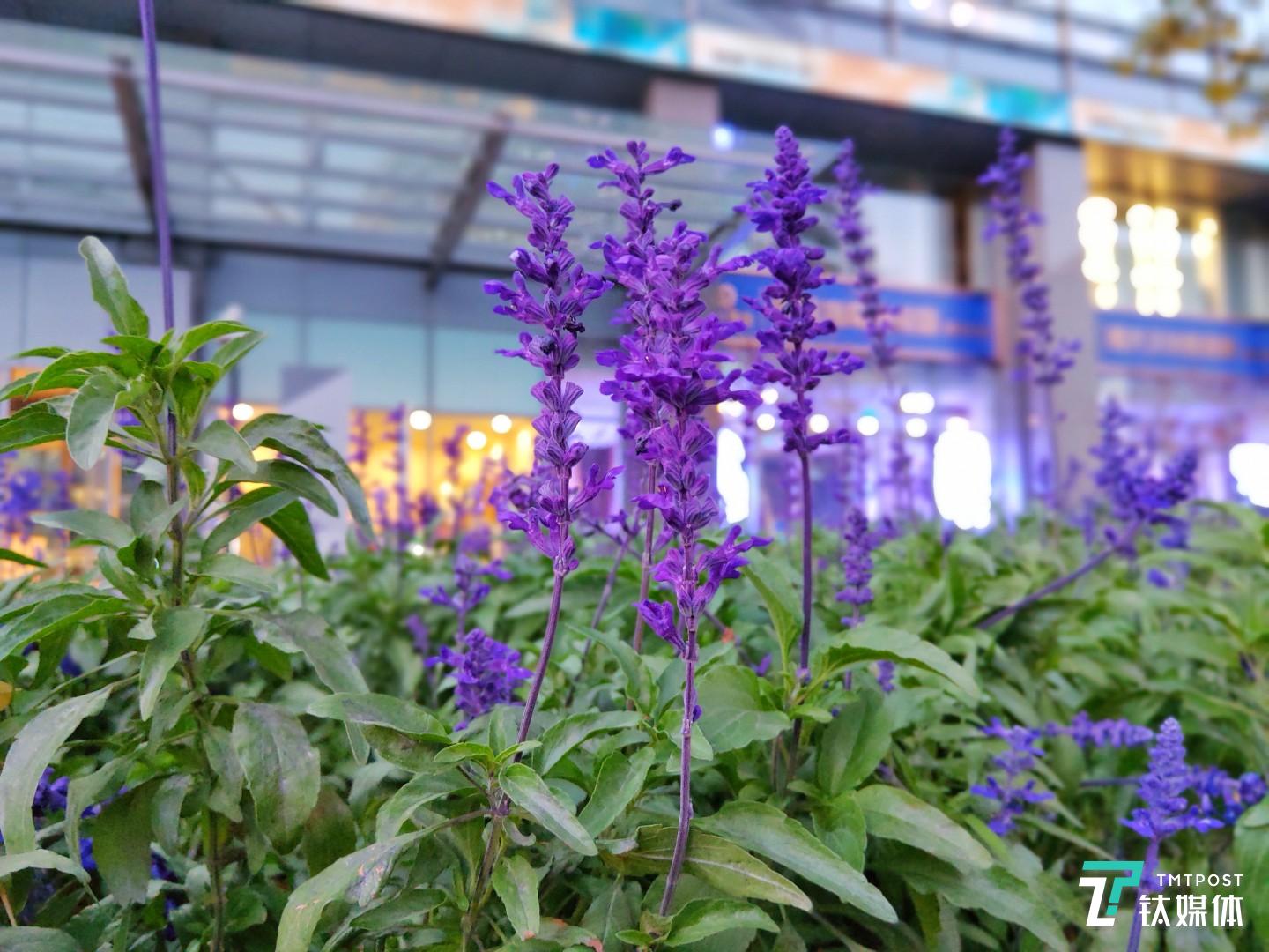 更多样张 焦距：4.28mm 光圈：f/1.8 快门速度：1/s ISO: