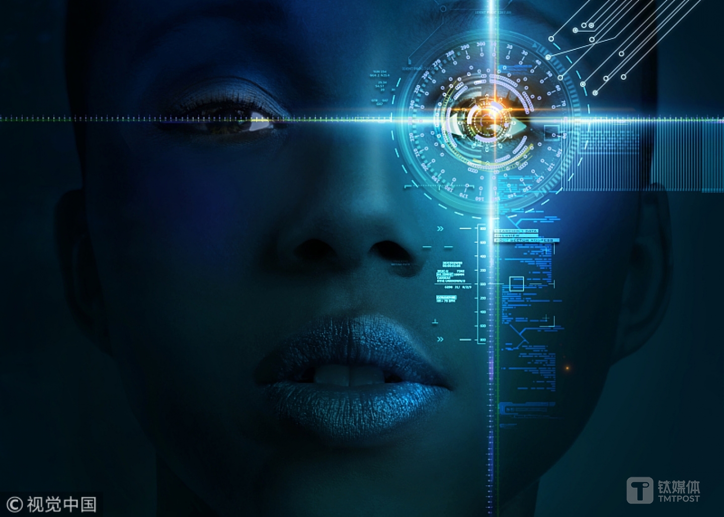 图片来源：视觉中国