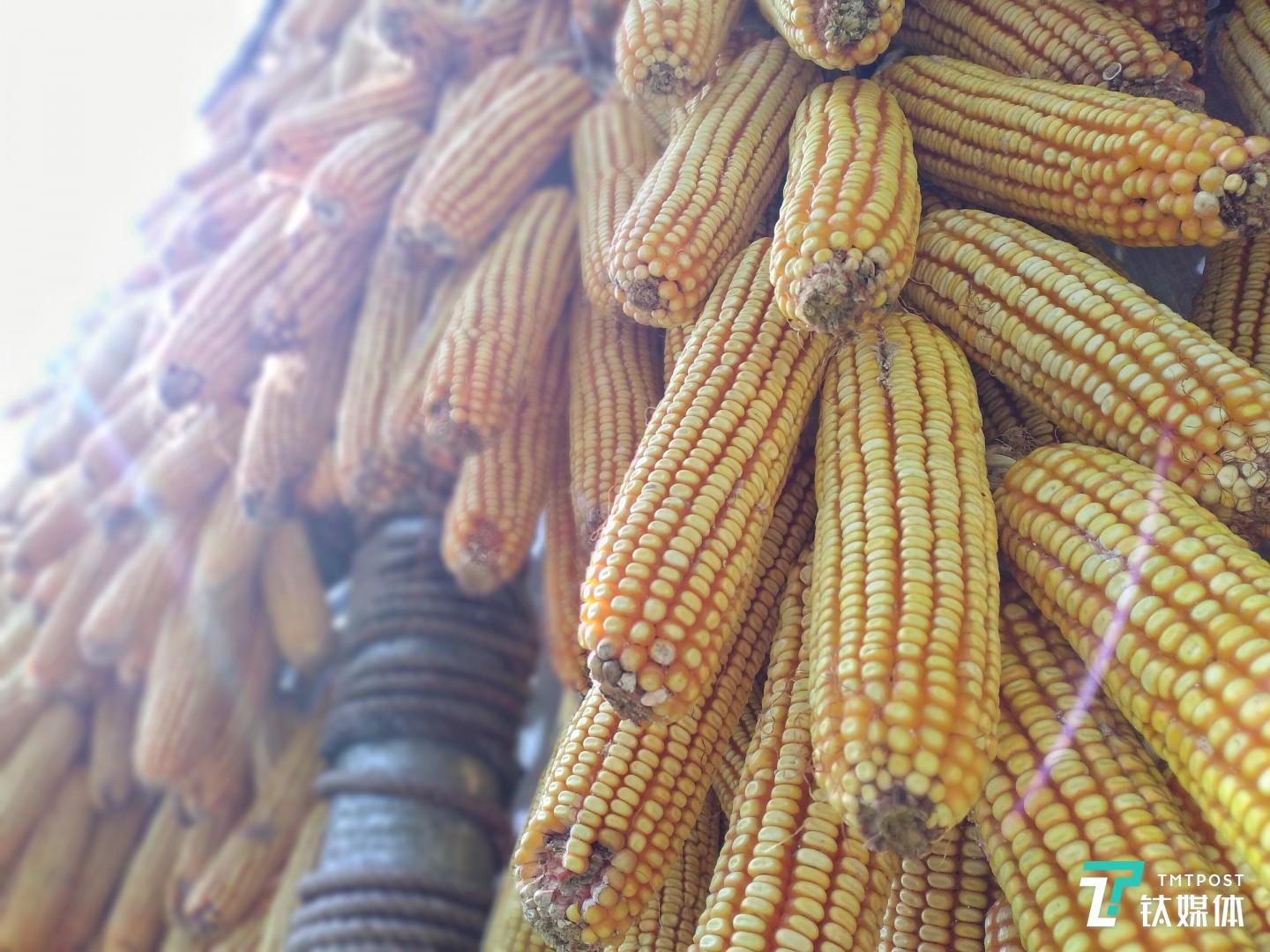 焦距：3.6mm 光圈：f/1.8 快门速度：1/s ISO: