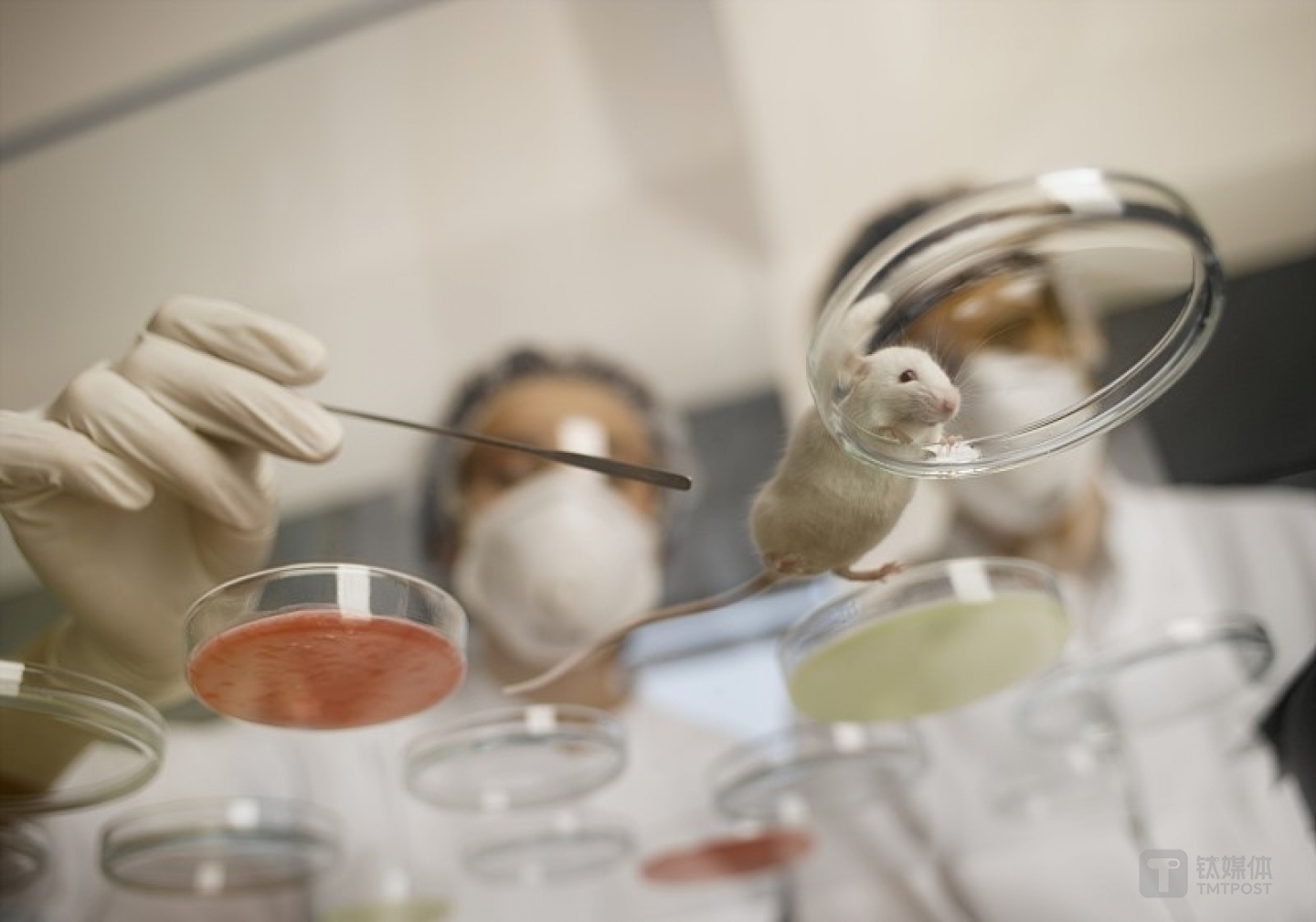 图片来源@视觉中国