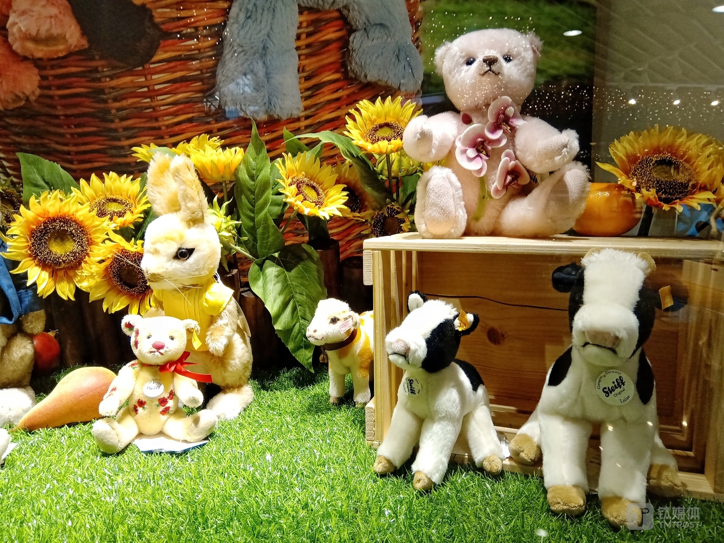 焦距：mm 光圈：f/ 快门速度：1/s ISO: