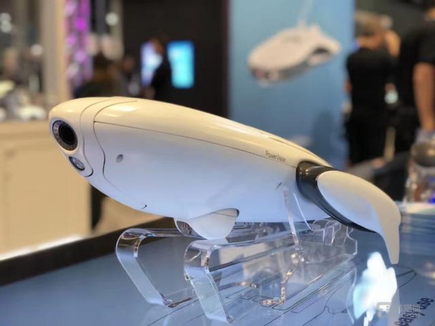 PowerDolphin小海豚