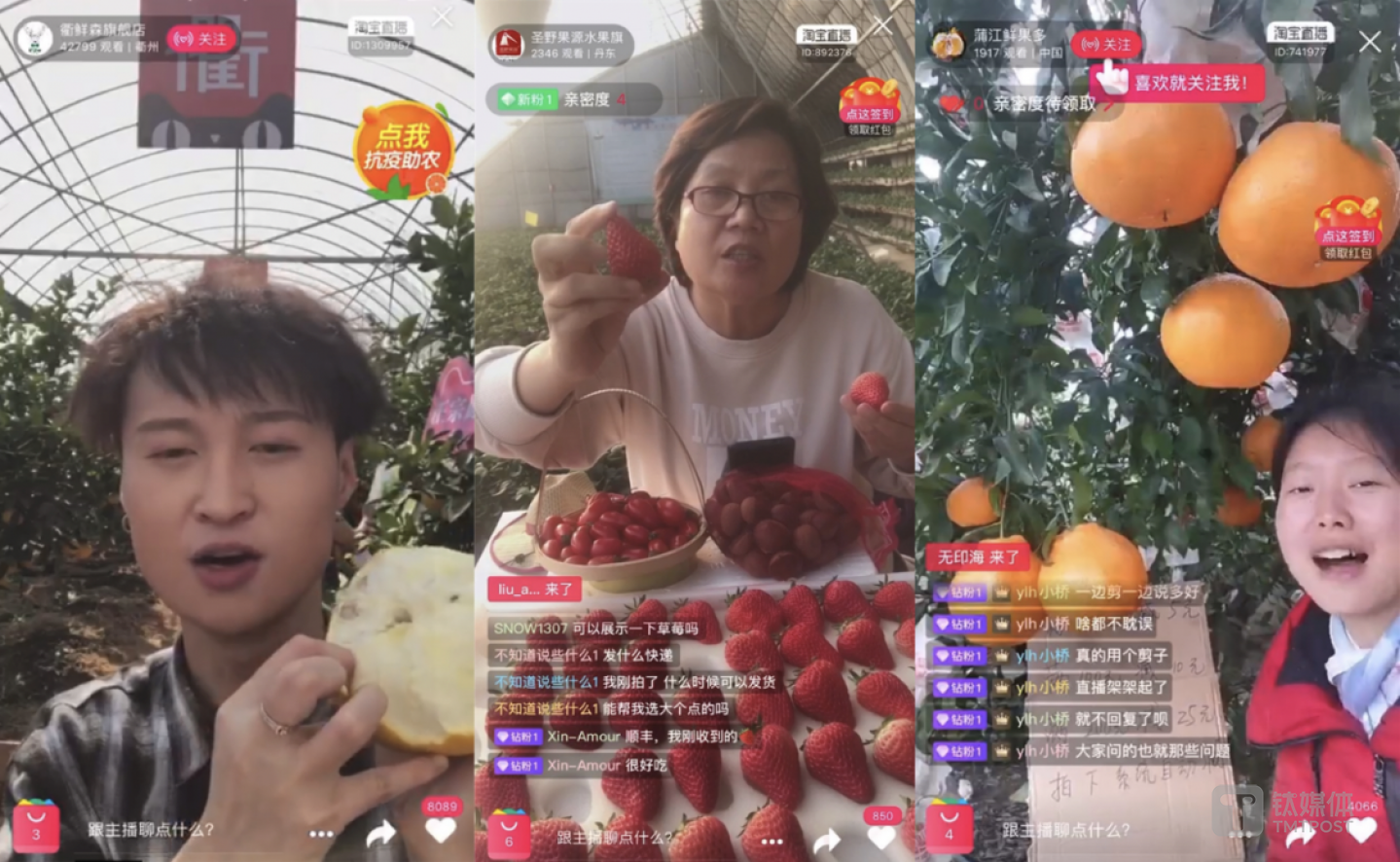 边采摘边连麦，蔬菜大棚变成淘宝直播间