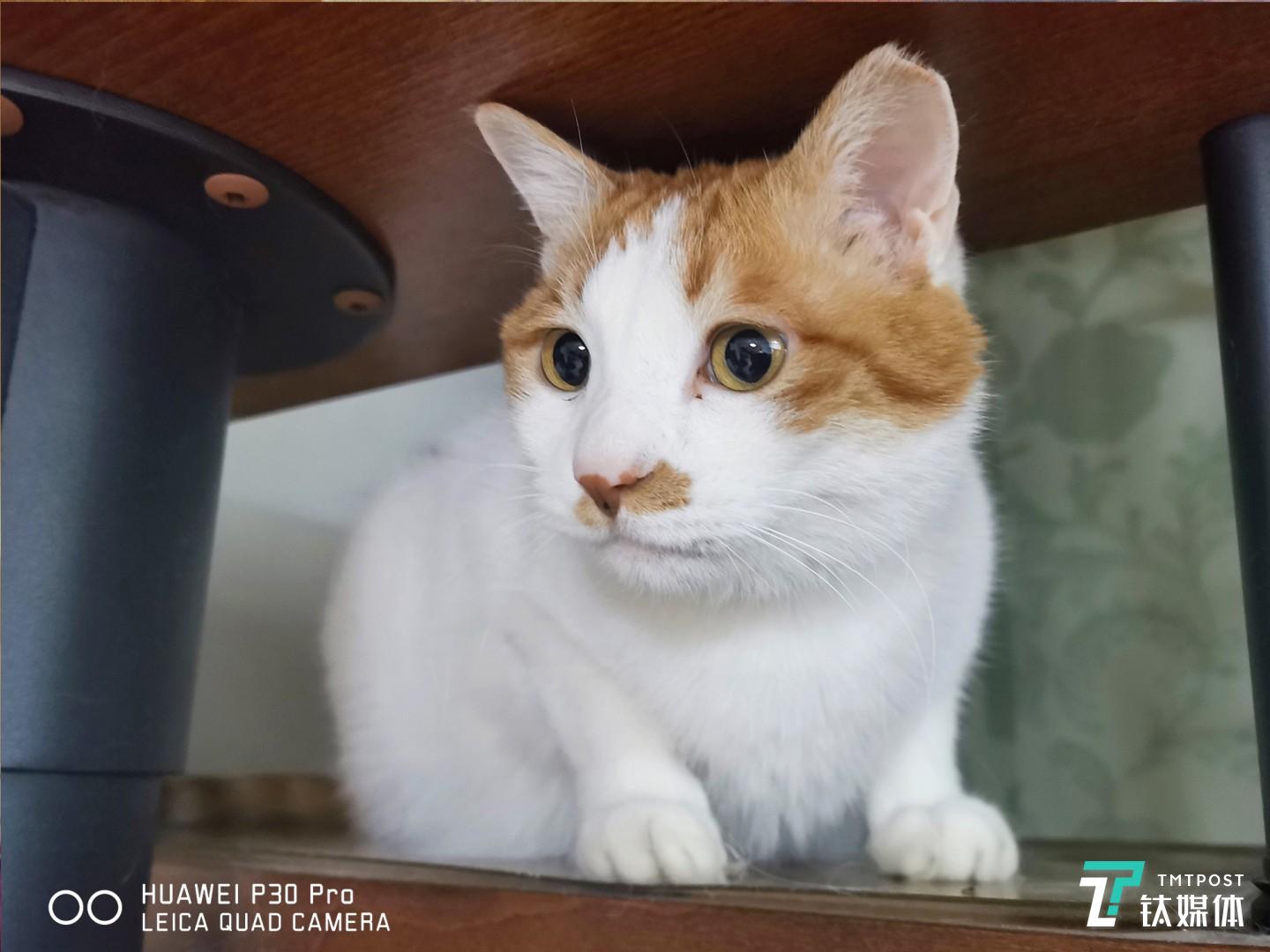 更多样张  焦距：mm（等效35mm焦距） 光圈：f/ 快门速度：1/s ISO: