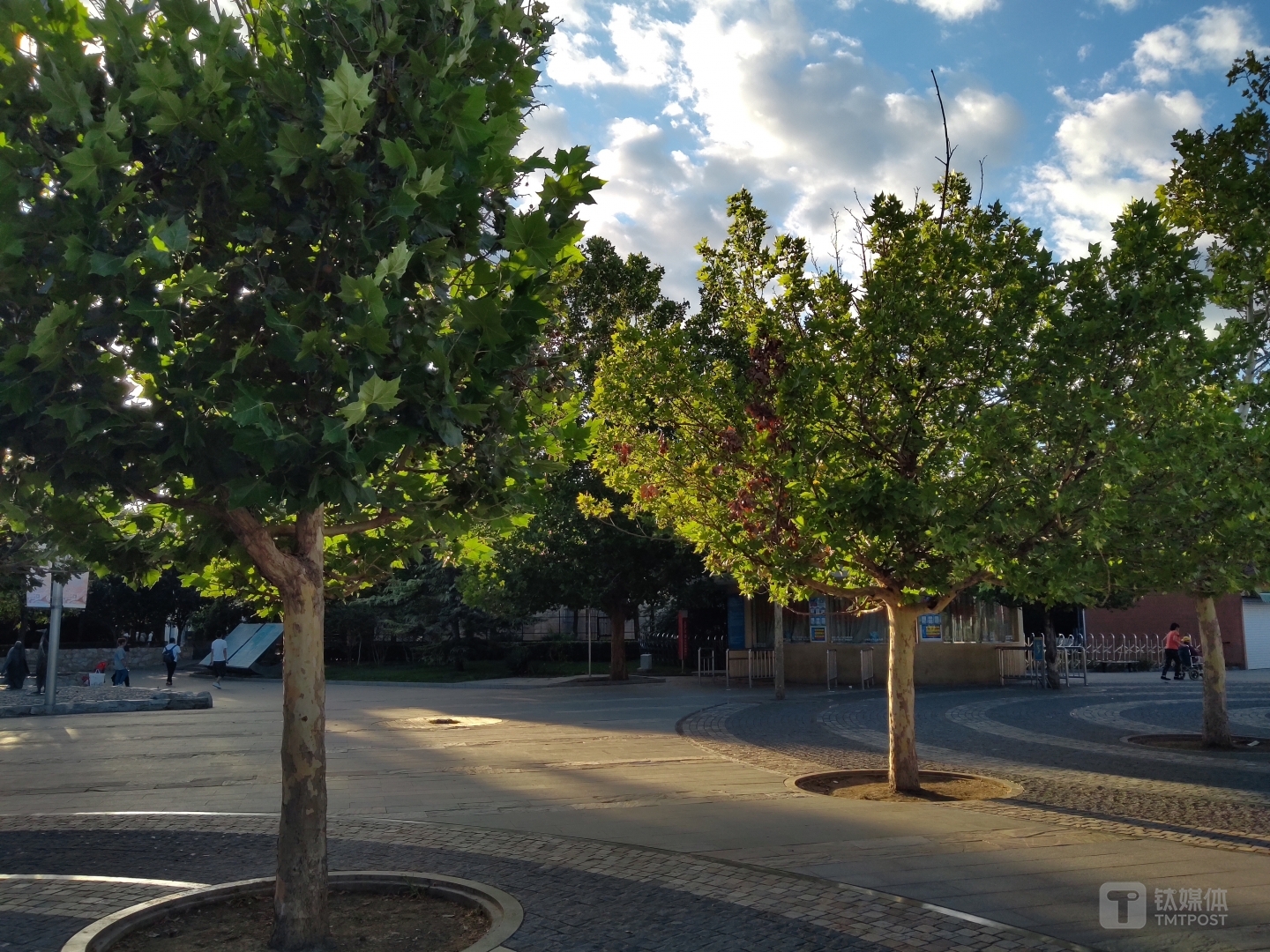 更多样片焦距：3.56mm 光圈：f/1.8 快门速度：1/s ISO: