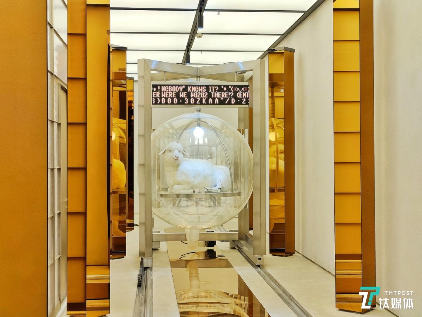 更多样张 焦距：mm 光圈：f/ 快门速度：1/s ISO: