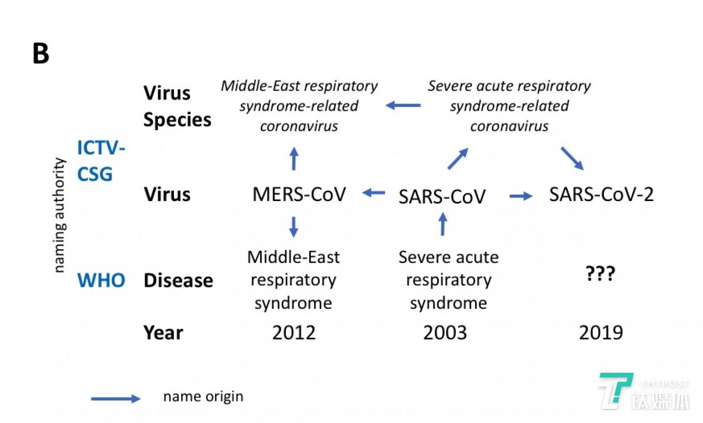 新冠病毒和新冠肺炎之间命名来源区别