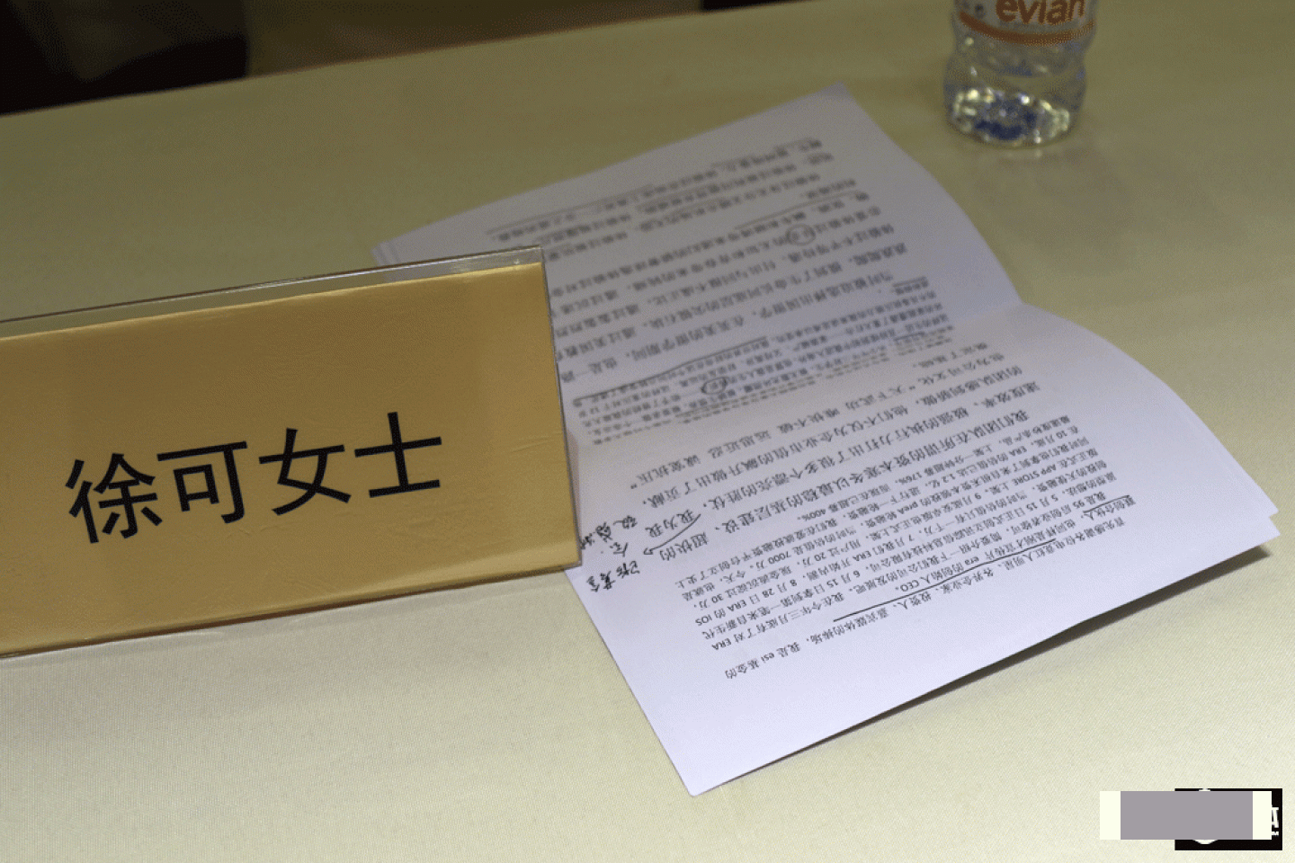 Like many other green entrepreneurs, Xu Ke wrote all her speech transcript. She carefully considered every sentence and every word she&rsquo;s going to say. This name card, which reads Mrs. Xu Ke, showed people that Xu Ke was no longer just a simple girl anymore.