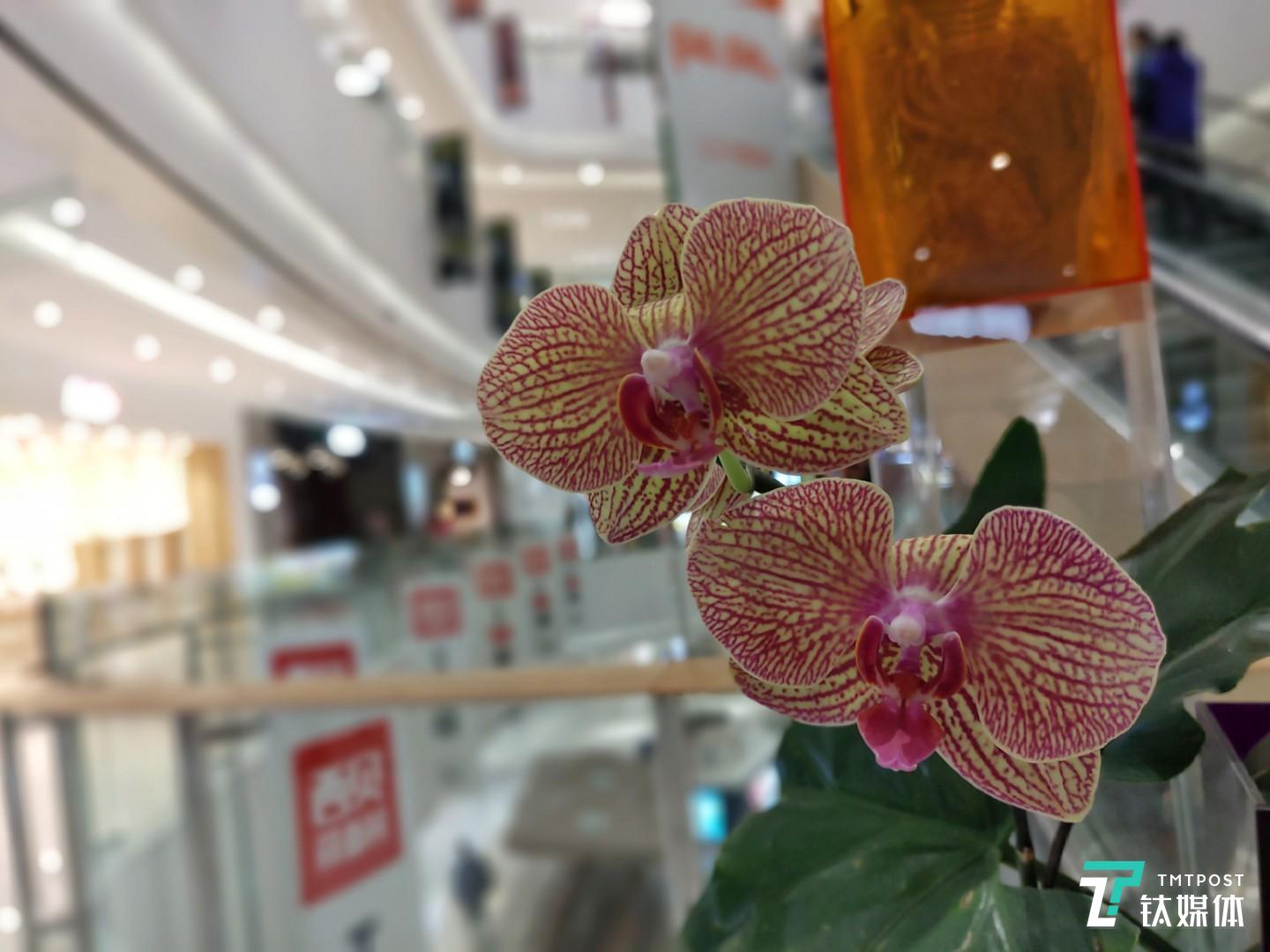 焦距：4.4mm 光圈：f/1.8 快门速度：1/s ISO: