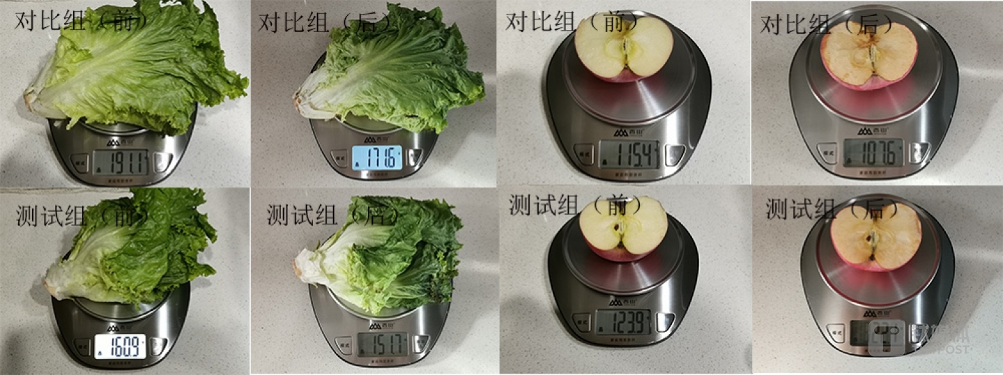 蔬菜水果保鲜测试