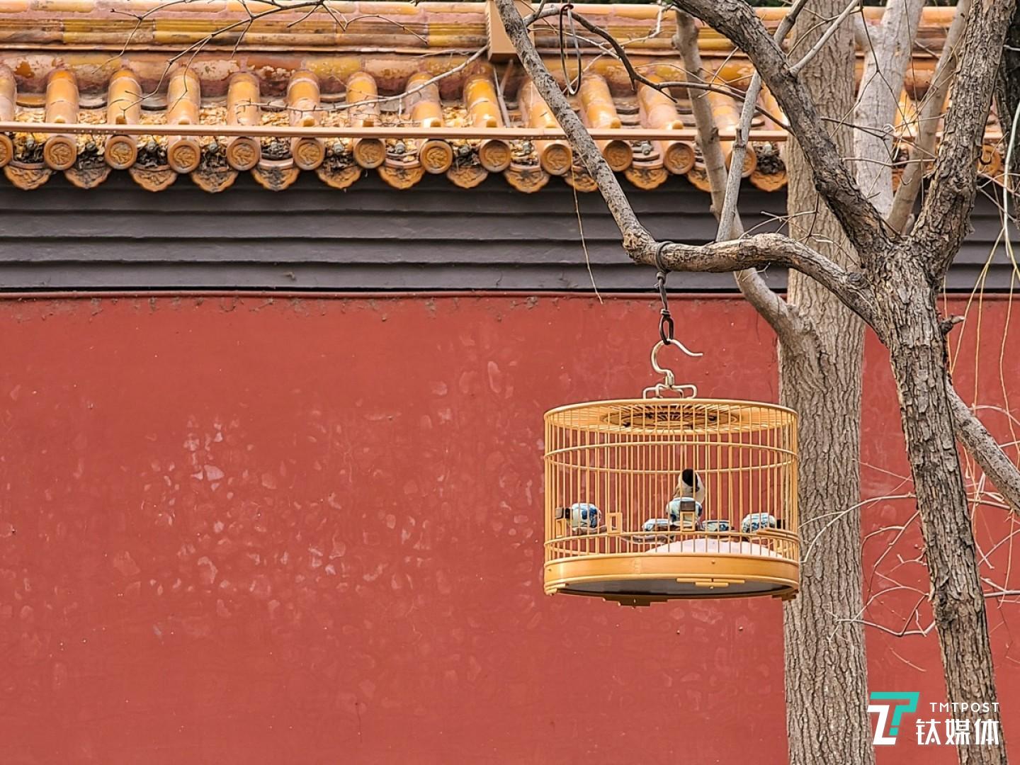 更多实拍样张 焦距：mm 光圈：f/ 快门速度：1/s ISO: