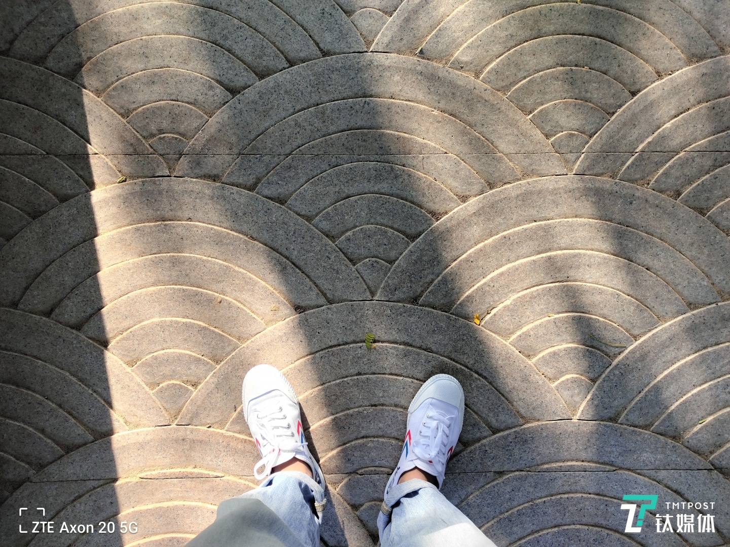 Axon 20 5G-主摄样张